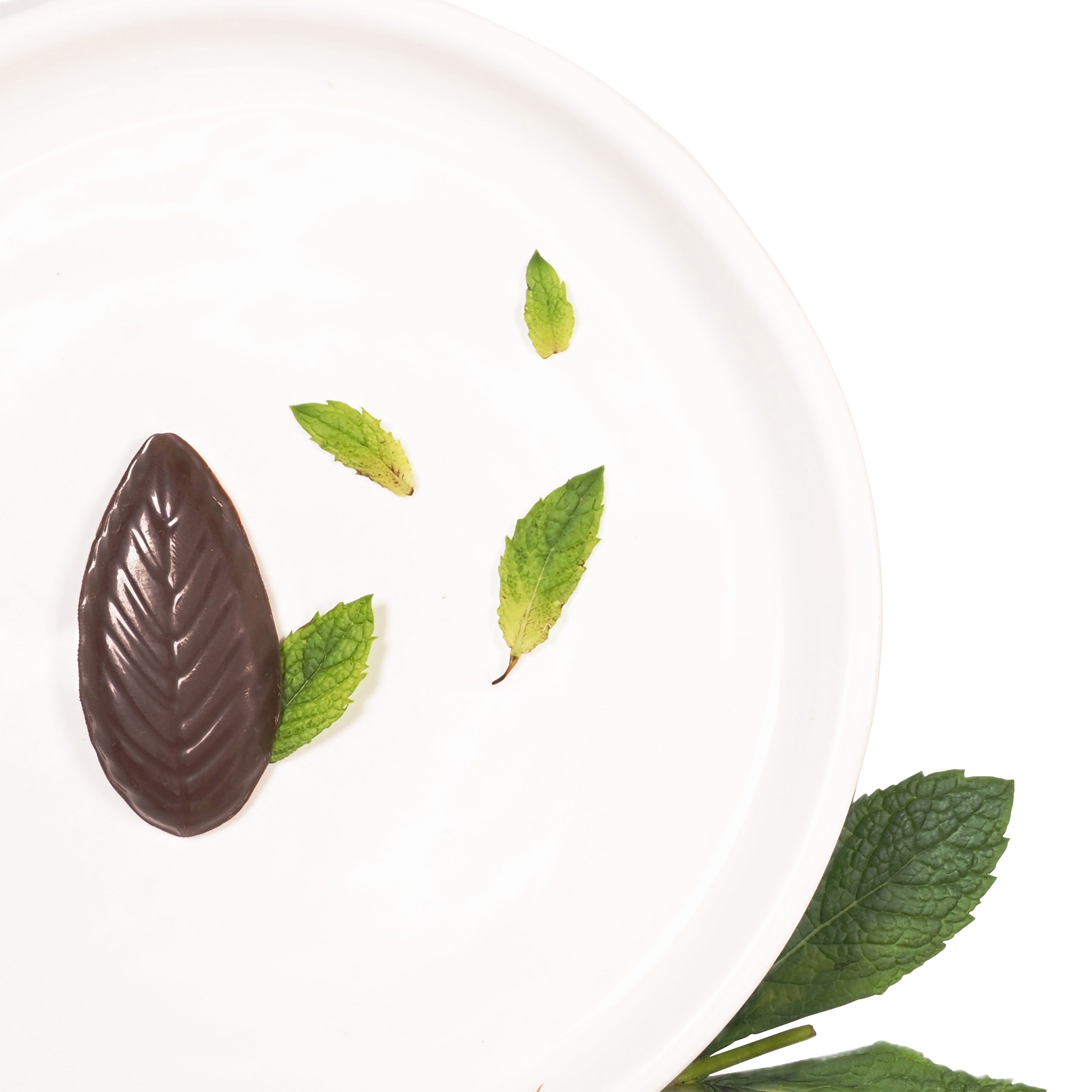 Enlarge Product Preview 6 Successfully Enriched by automation Job.