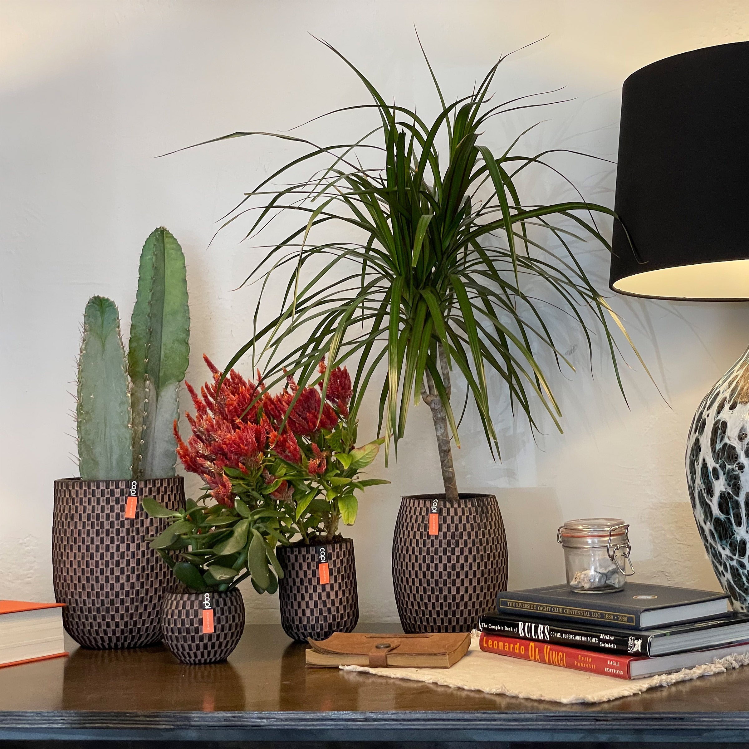 New Wave Assorted Planter Collection, 4-pack | Costco