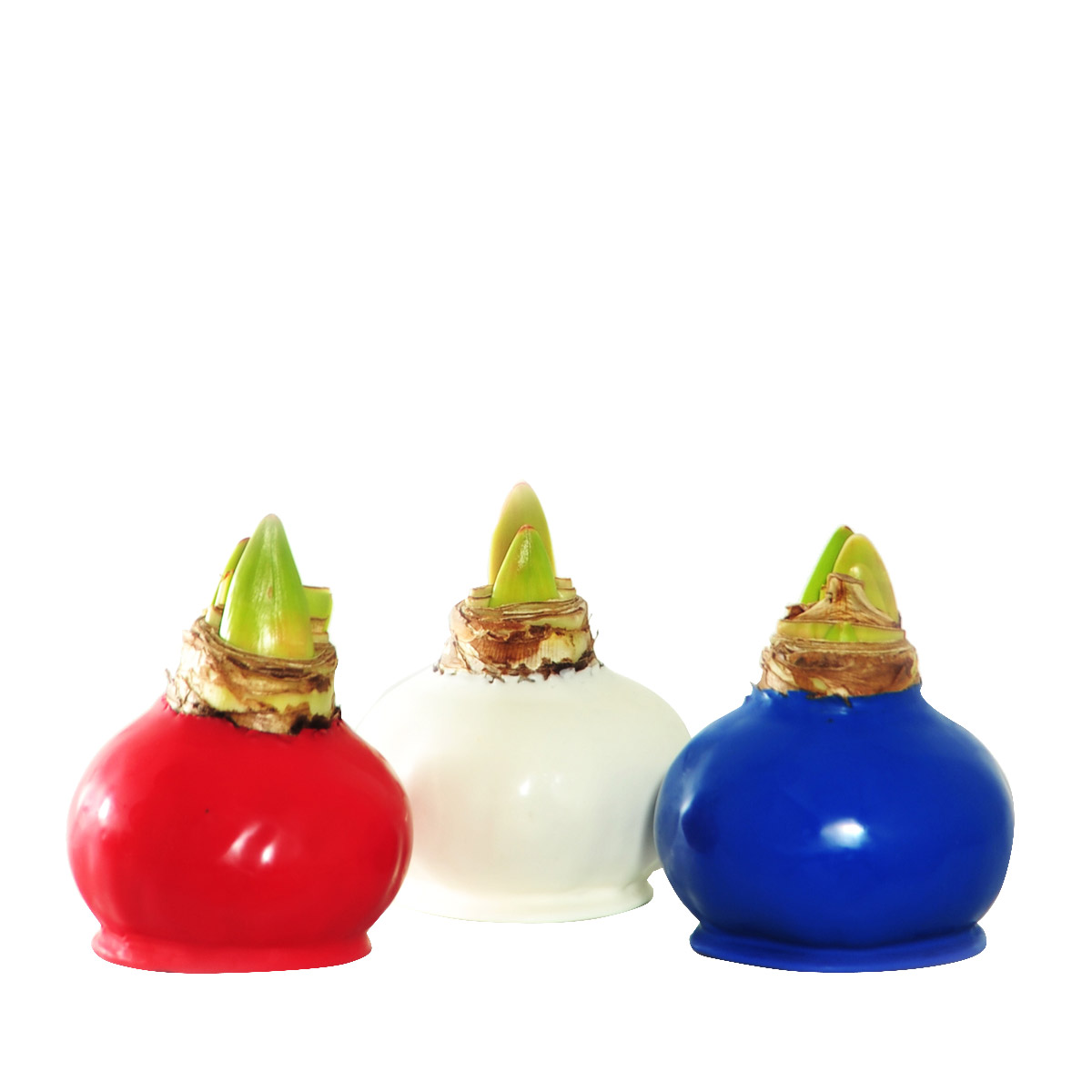 Enlarge Product Preview 3