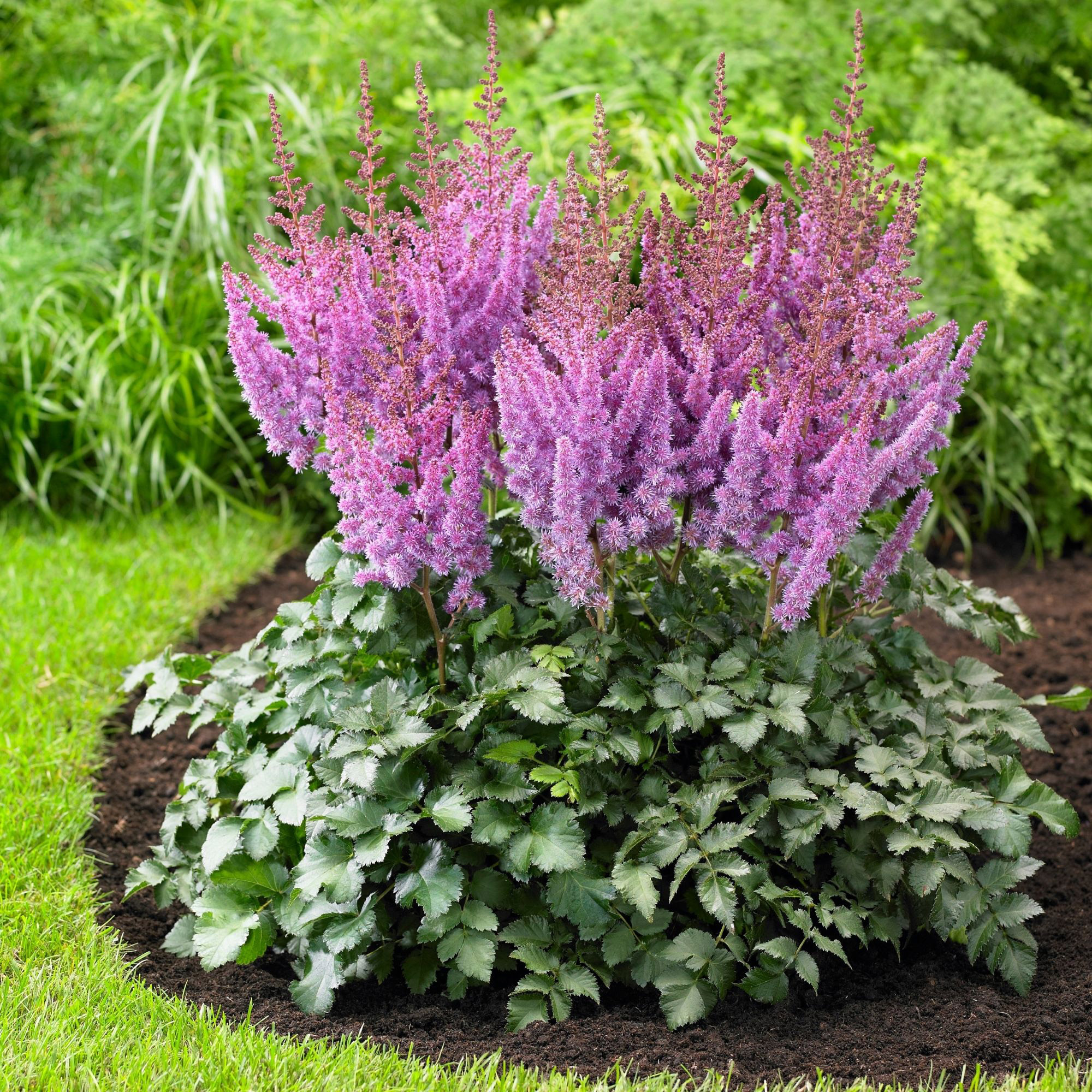 Enlarge Product Preview 20