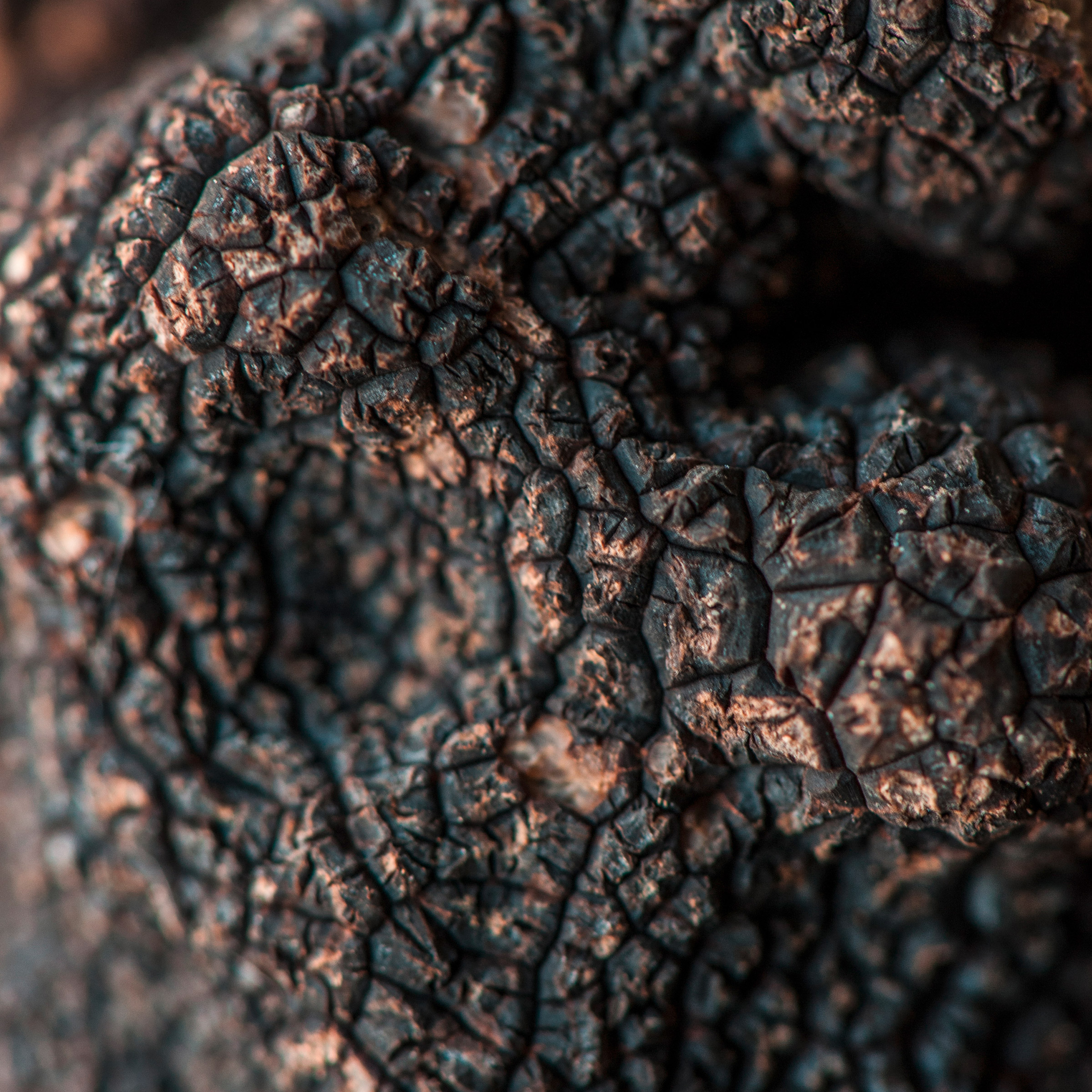 Enlarge Product Preview 7