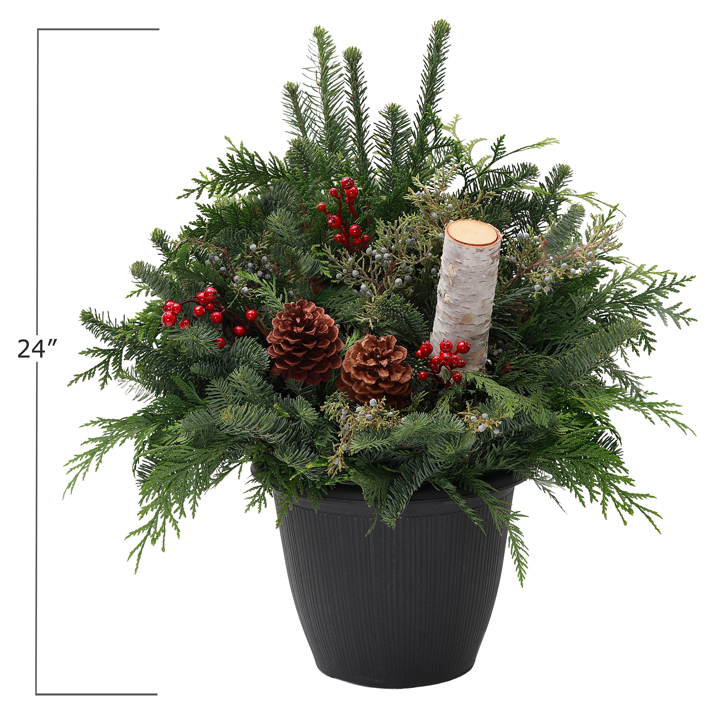 Enlarge Product Preview 2