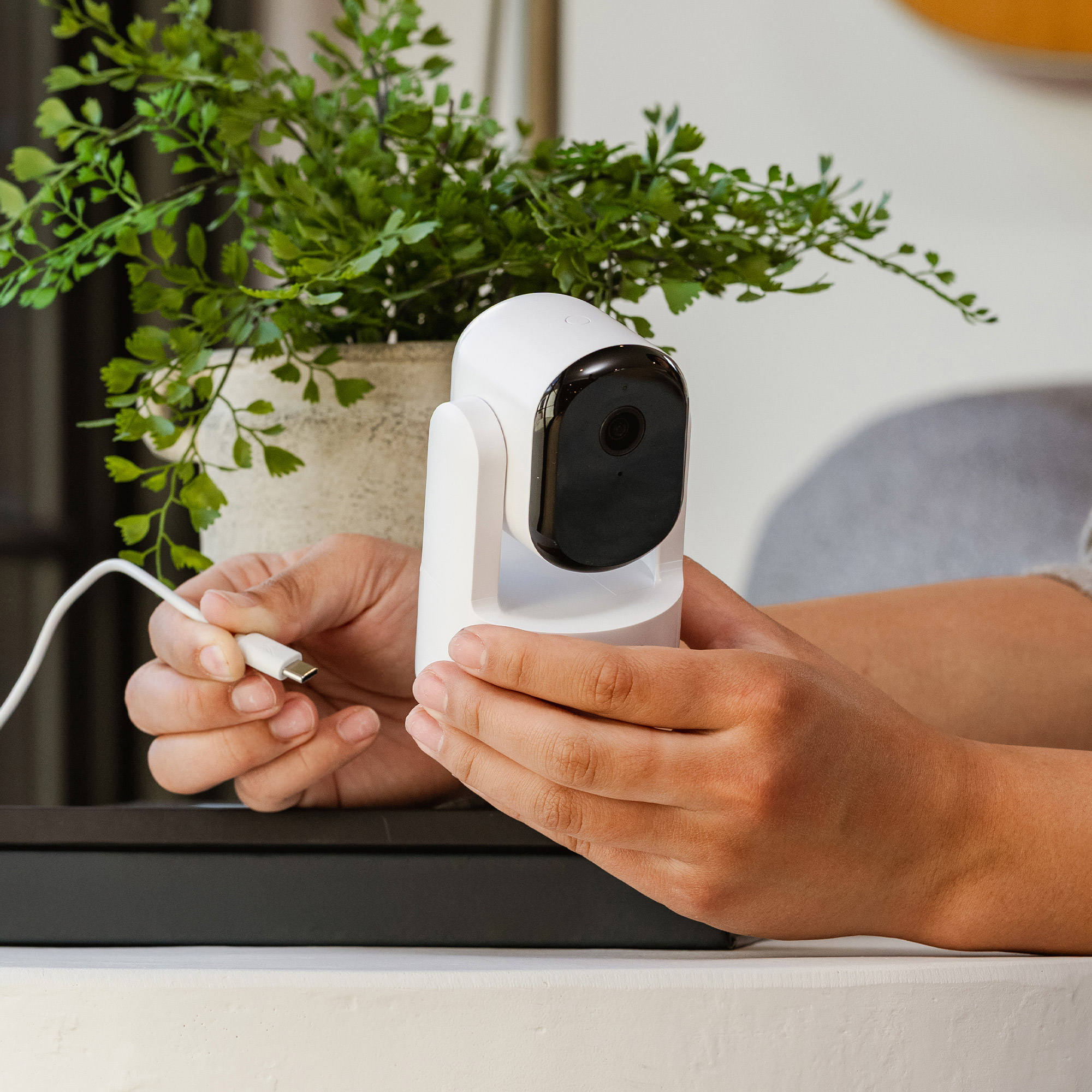 Enlarge Product Preview 7 Successfully Enriched by automation Job.