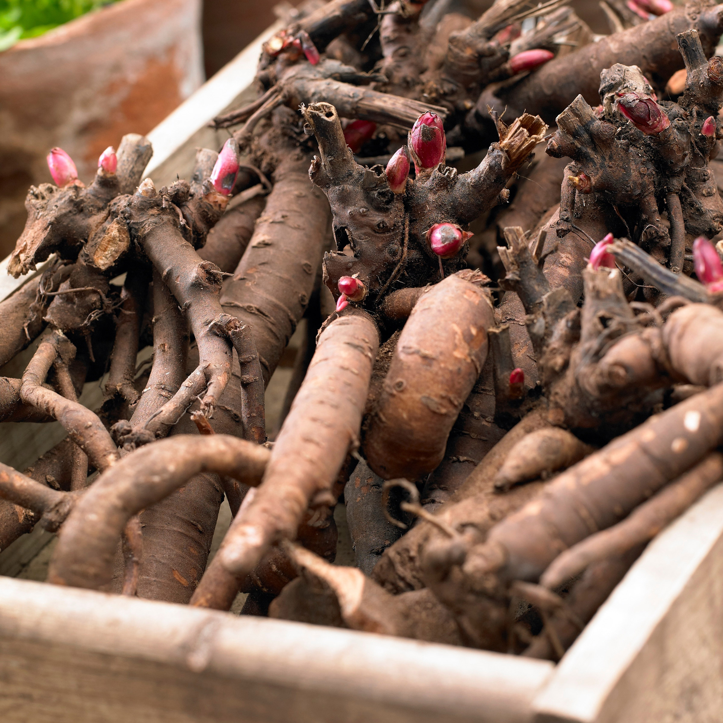 Enlarge Product Preview 5