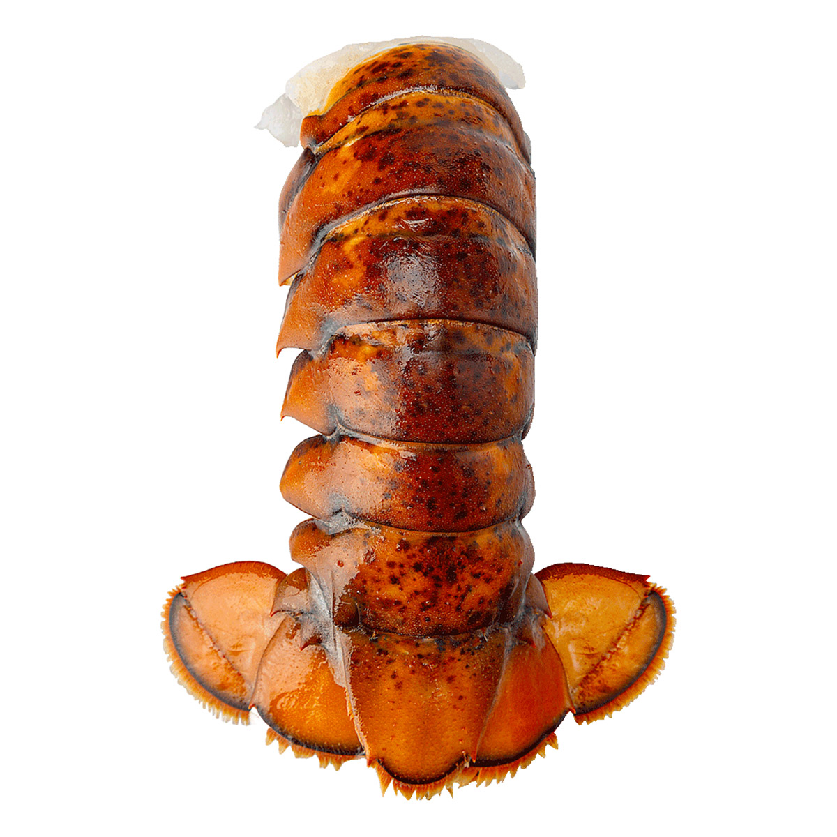 Blue Tide Frozen Wild Lobster Tail, 5-6 oz. 4.54 kg