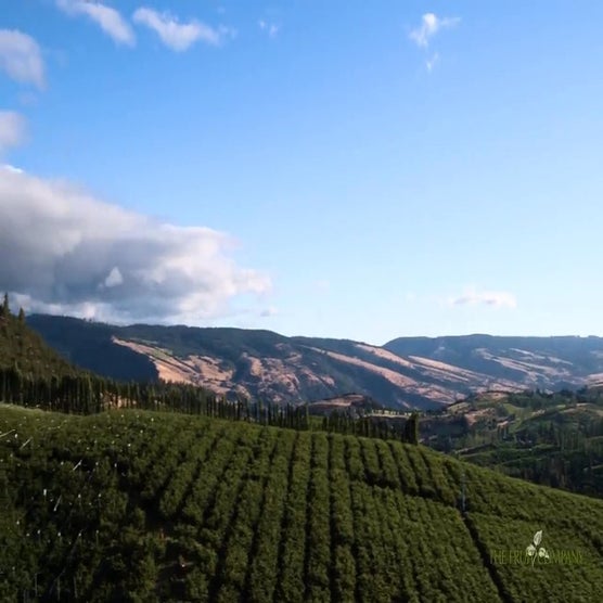 Play Product Video 1