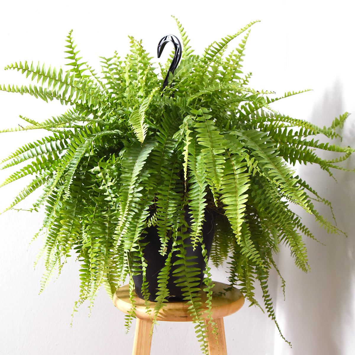 Enlarge Product Preview 5