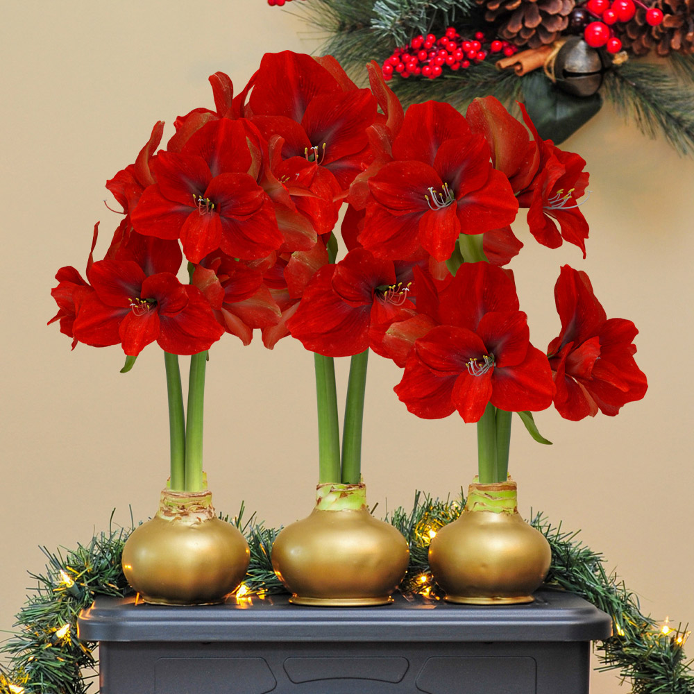 Enlarge Product Preview 7