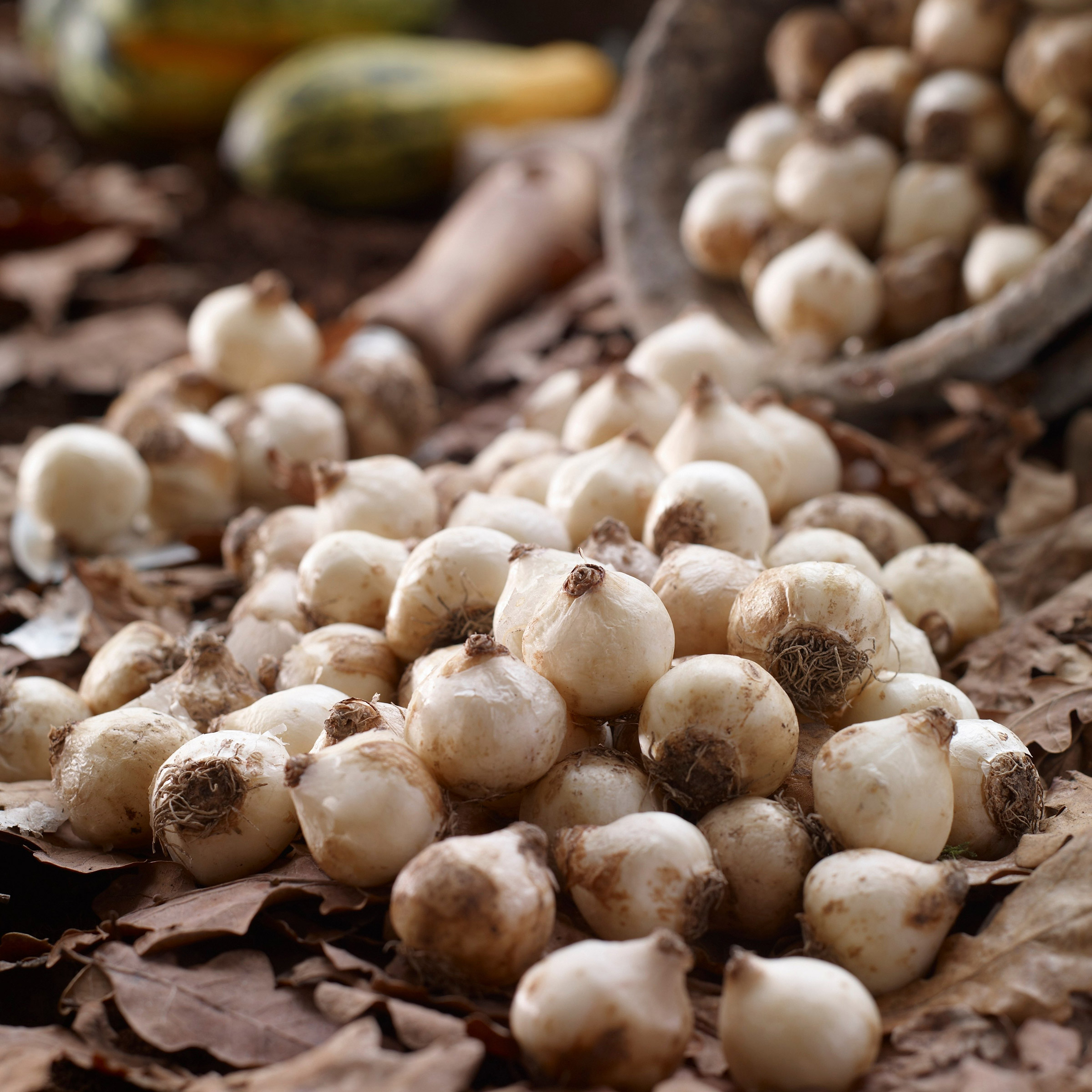 Enlarge Product Preview 9 Automation Job: Item or Product number could not be derived from the asset name.