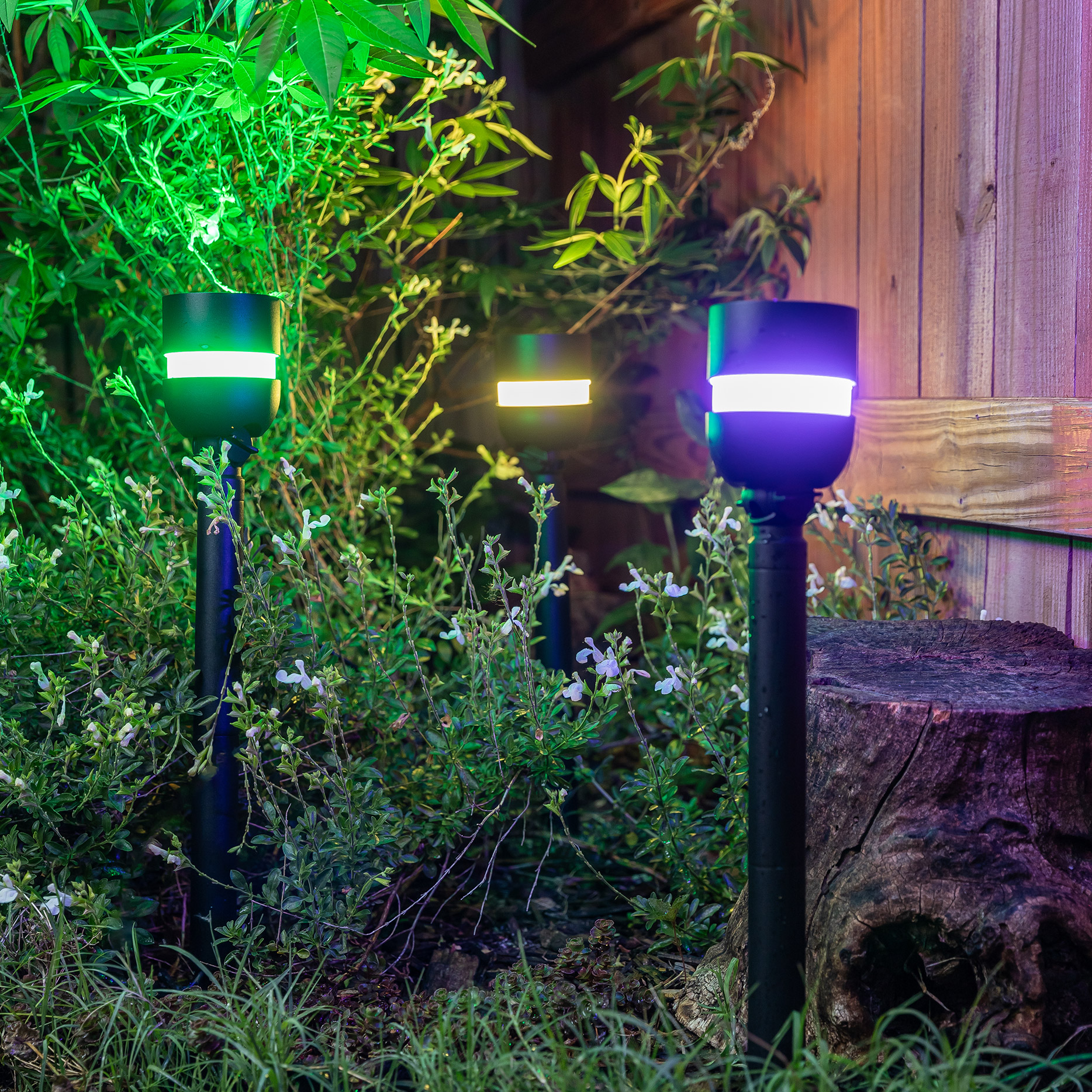 Enlarge Product Preview 6 Successfully Enriched by automation Job.