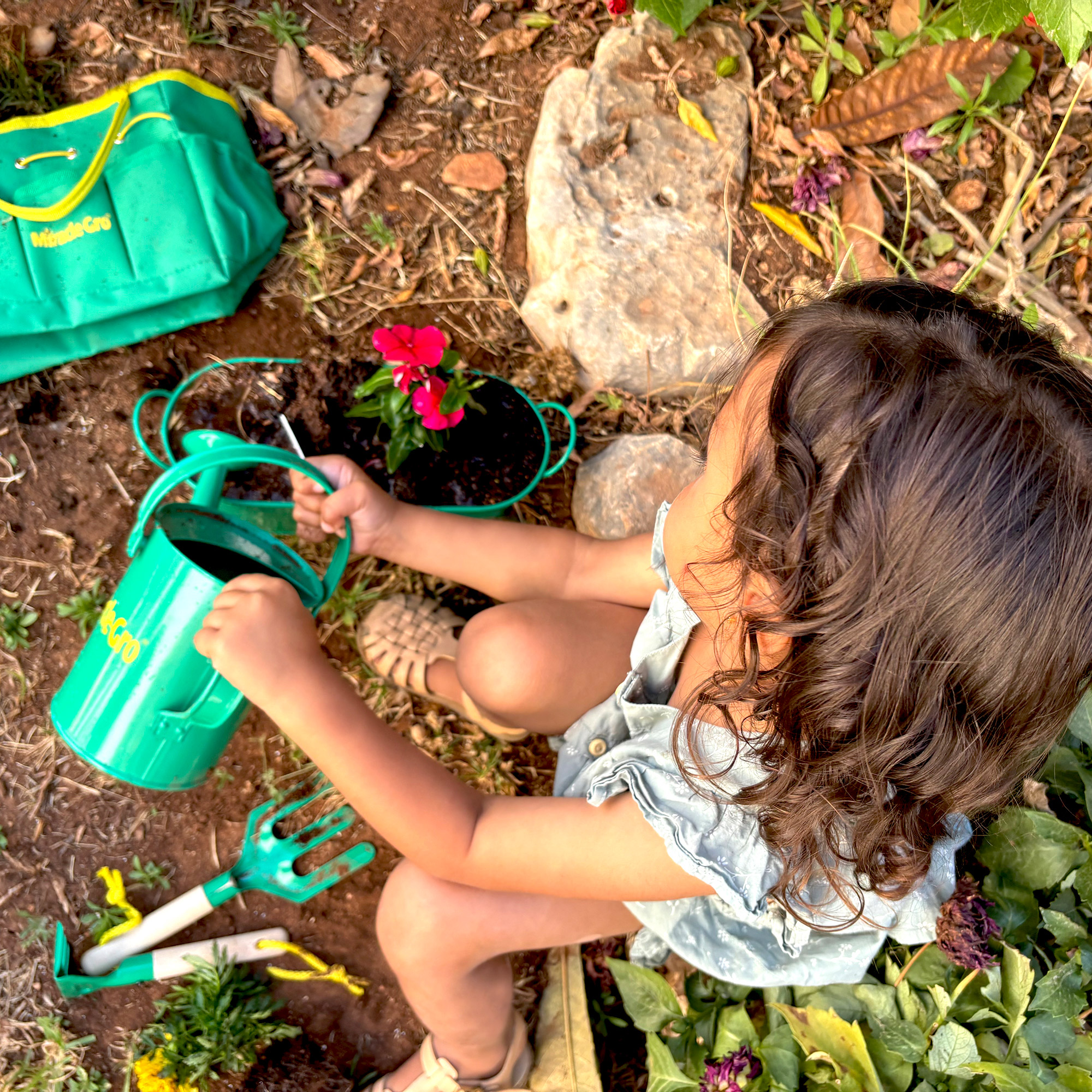 Enlarge Product Preview 5 Successfully Enriched by automation Job.