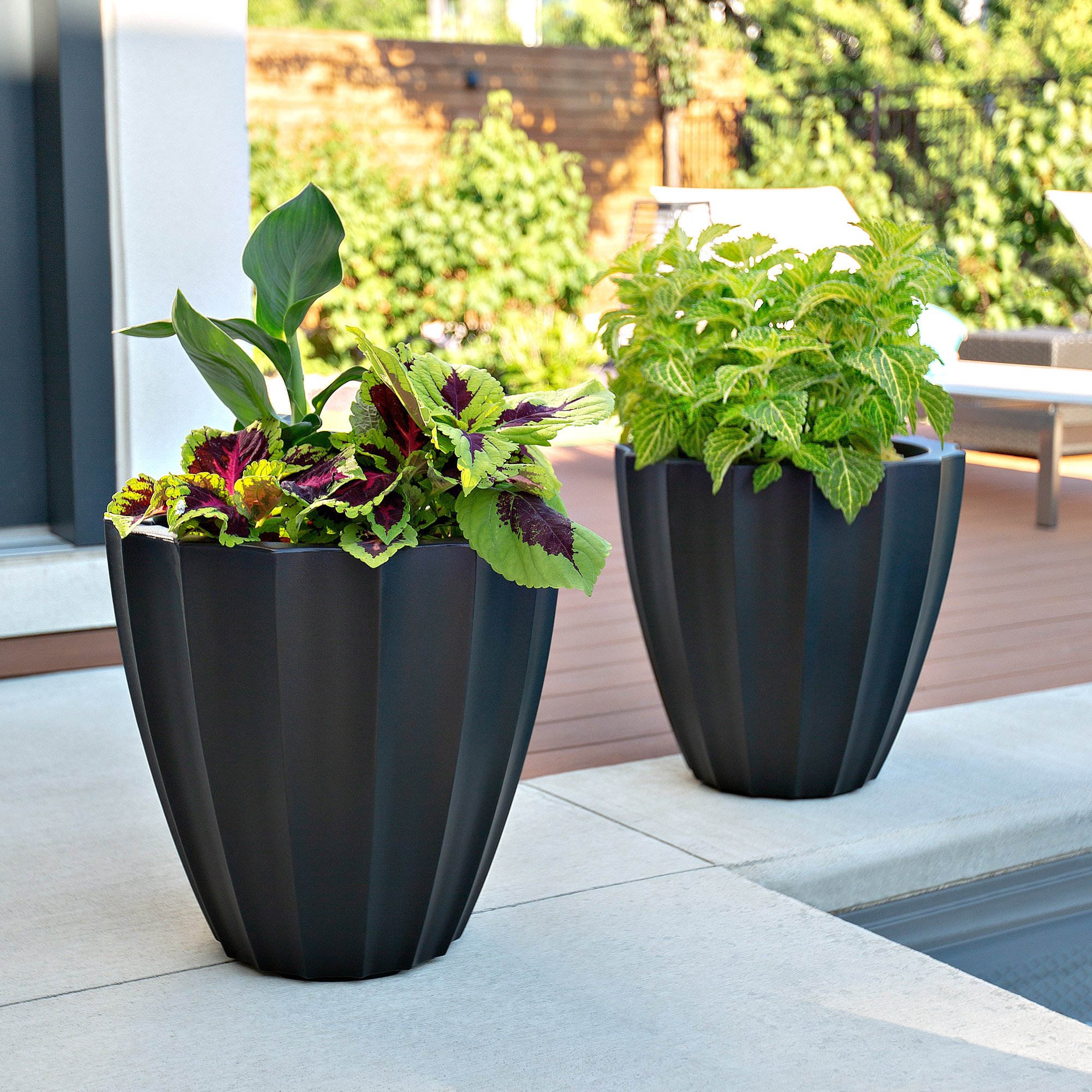 Enlarge Product Preview 2