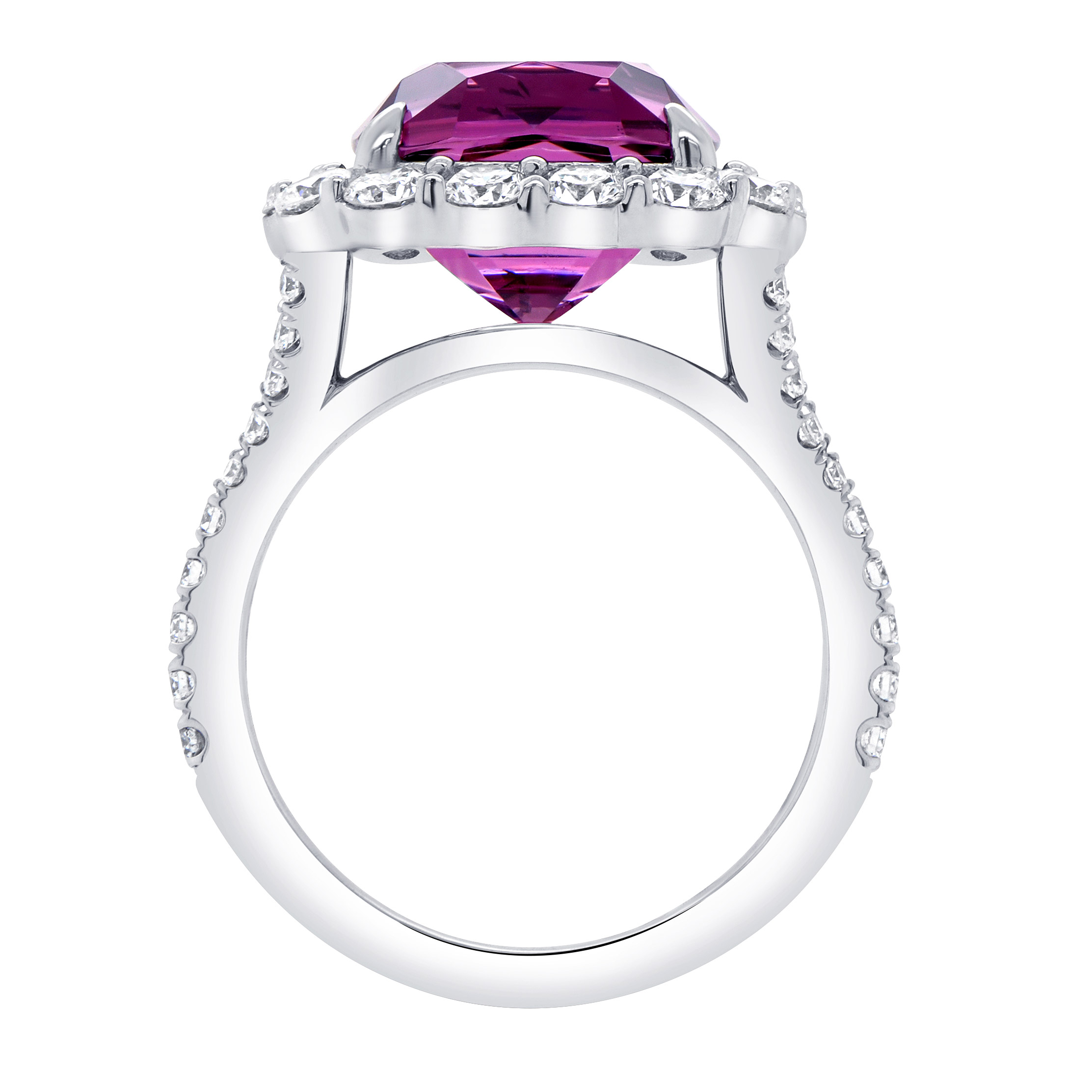 Enlarge Product Preview 3