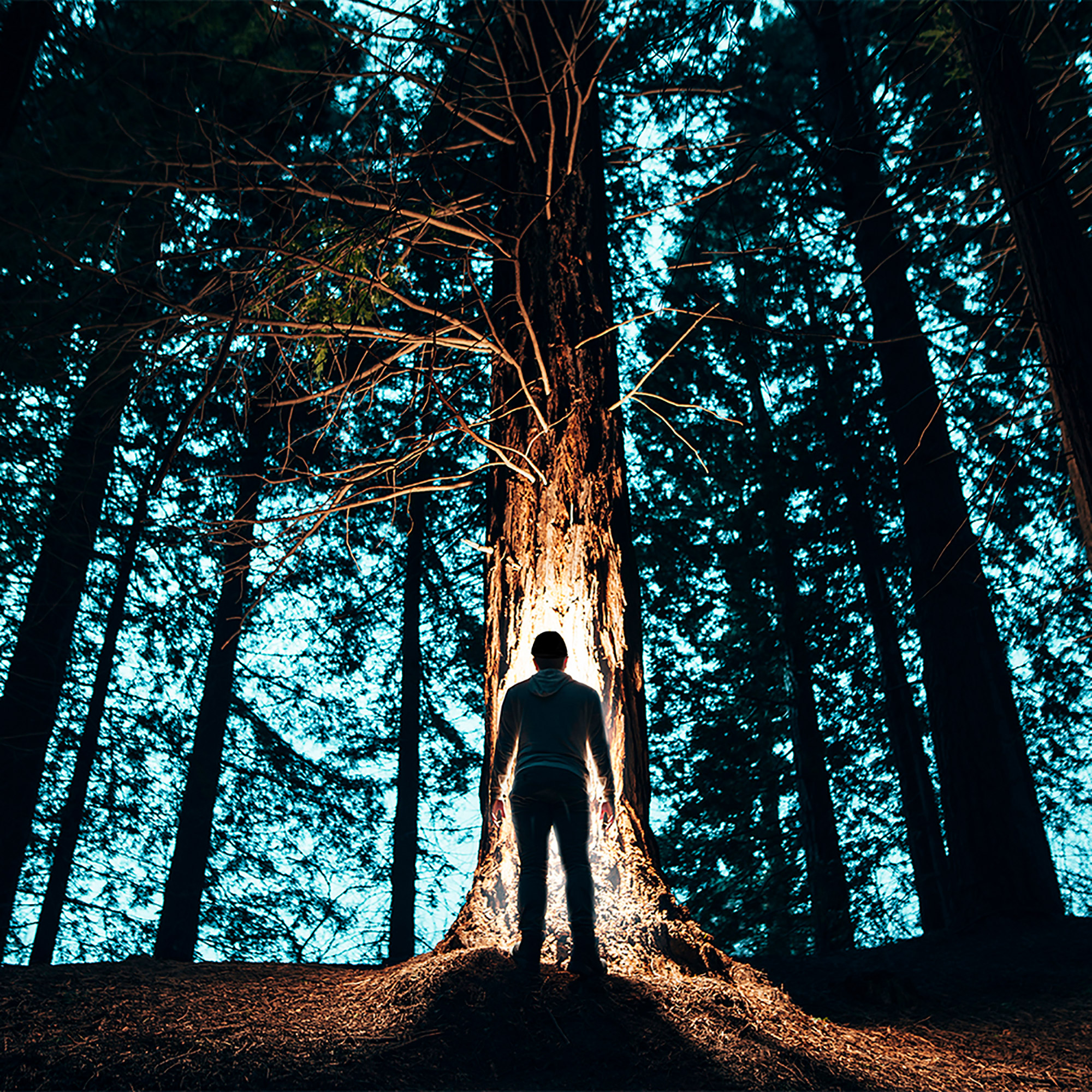 Enlarge Product Preview 4