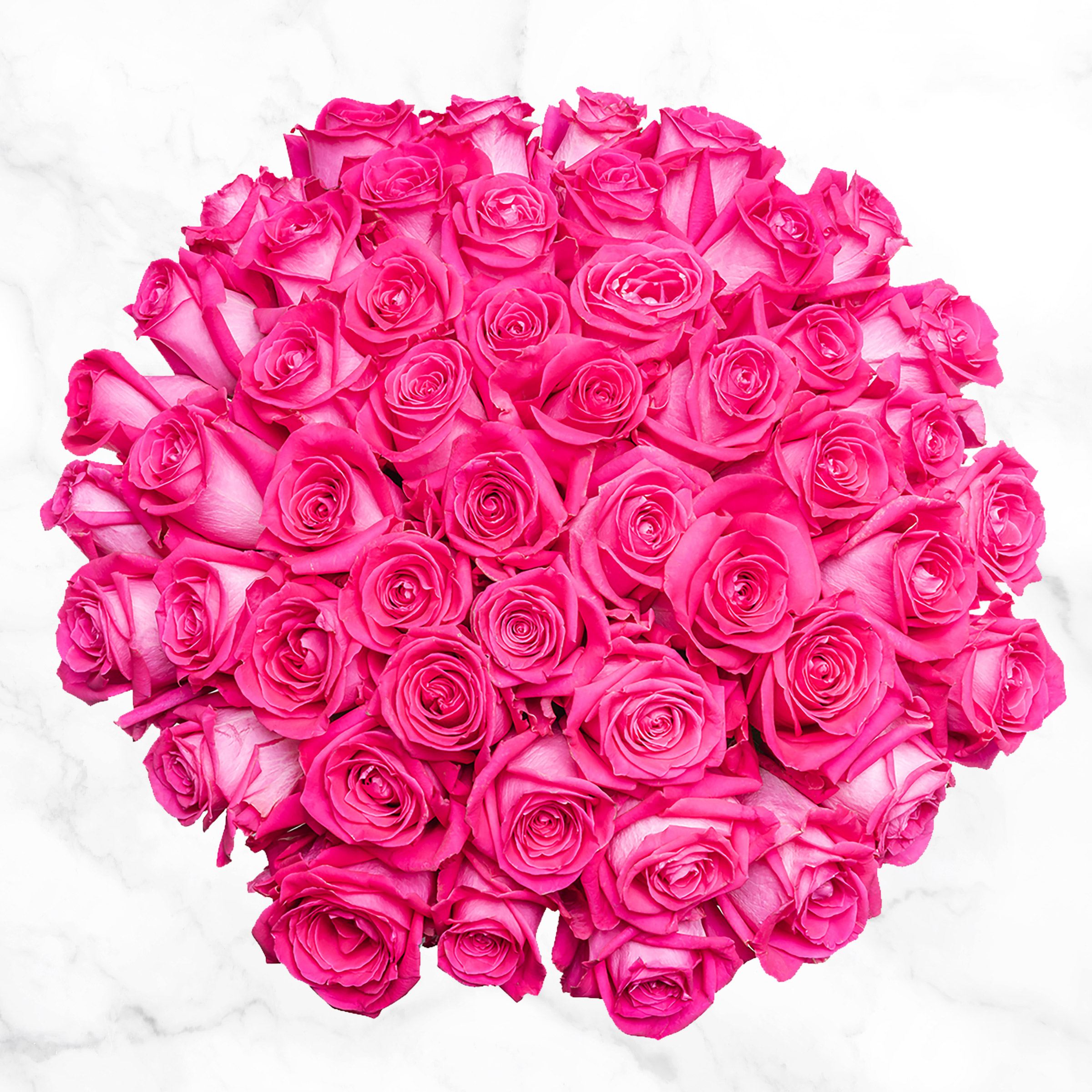 Pre-order Valentines Day Hot Pink Roses  50-stems