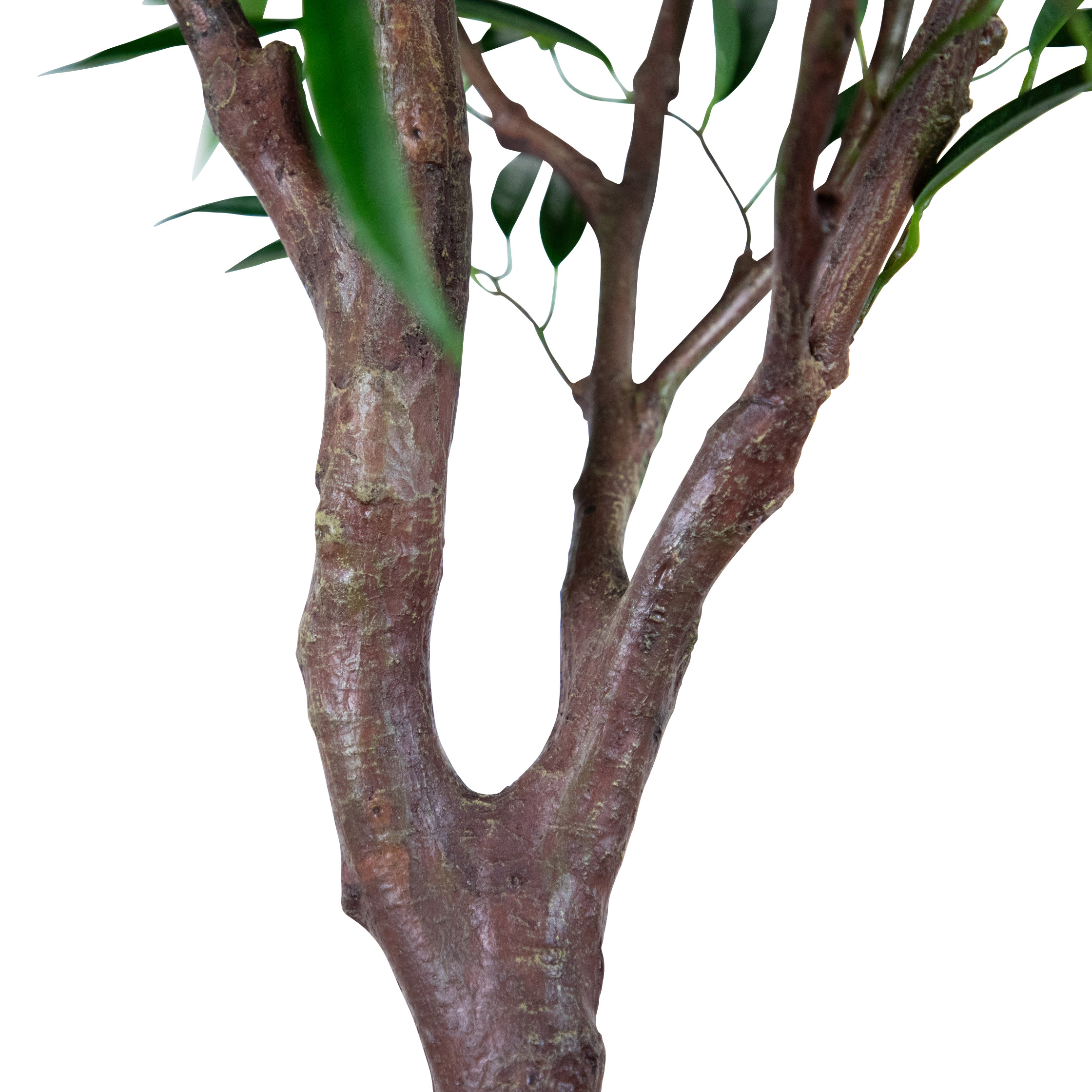 Enlarge Product Preview 4 Successfully Enriched by automation Job.