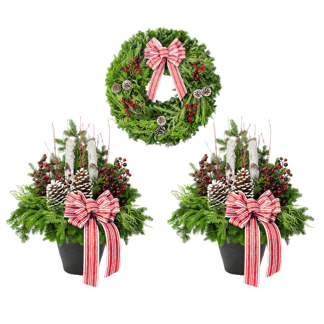 Premium Winter Garden Family – Whimsical Theme, 3-pack