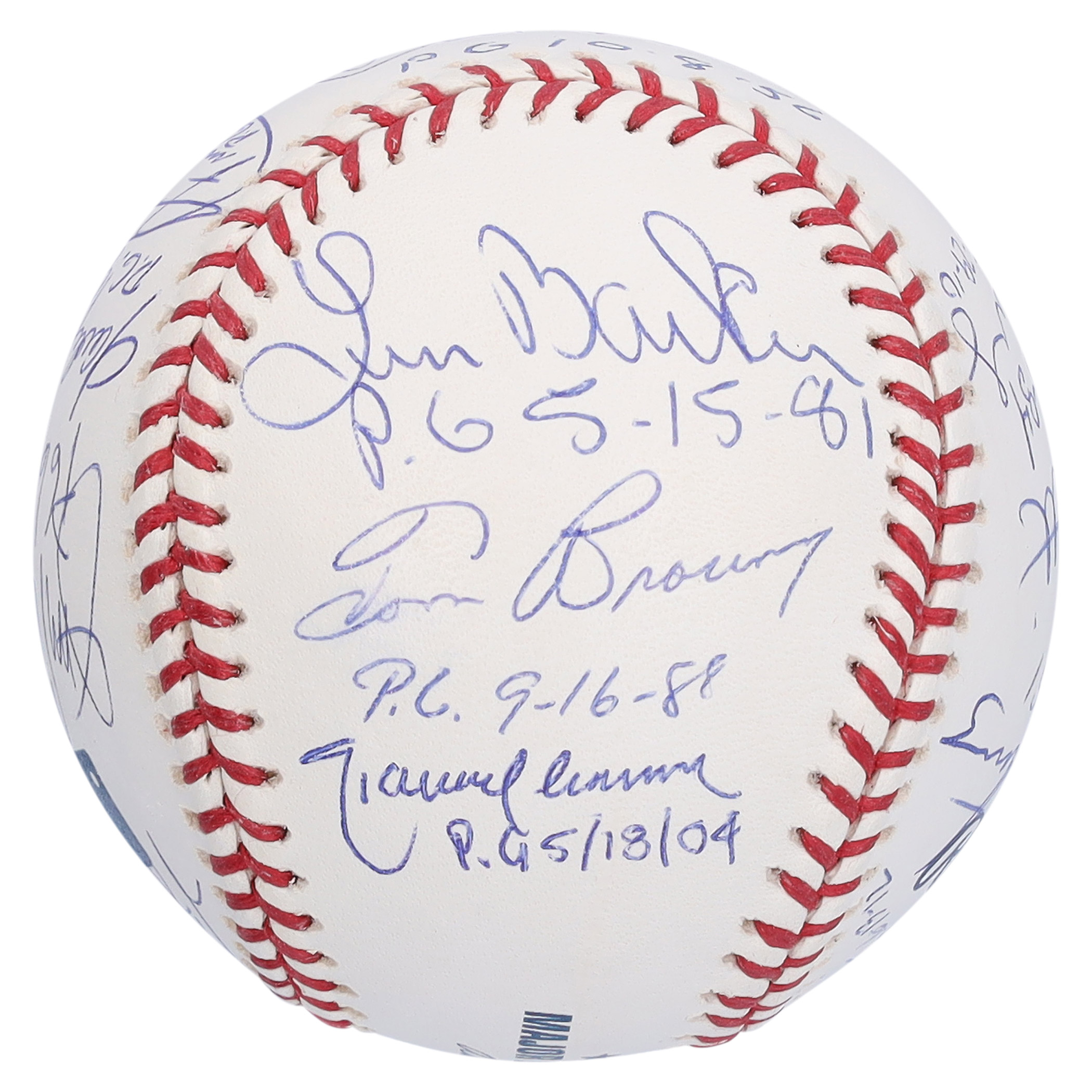 Enlarge Product Preview 2 Successfully Enriched by automation Job.