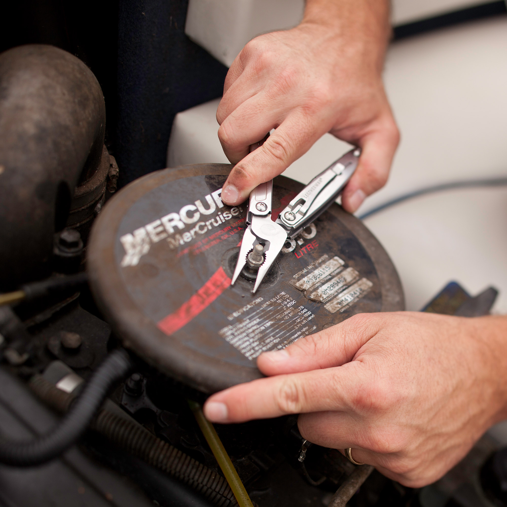 Enlarge Product Preview 5 Successfully Enriched by automation Job.