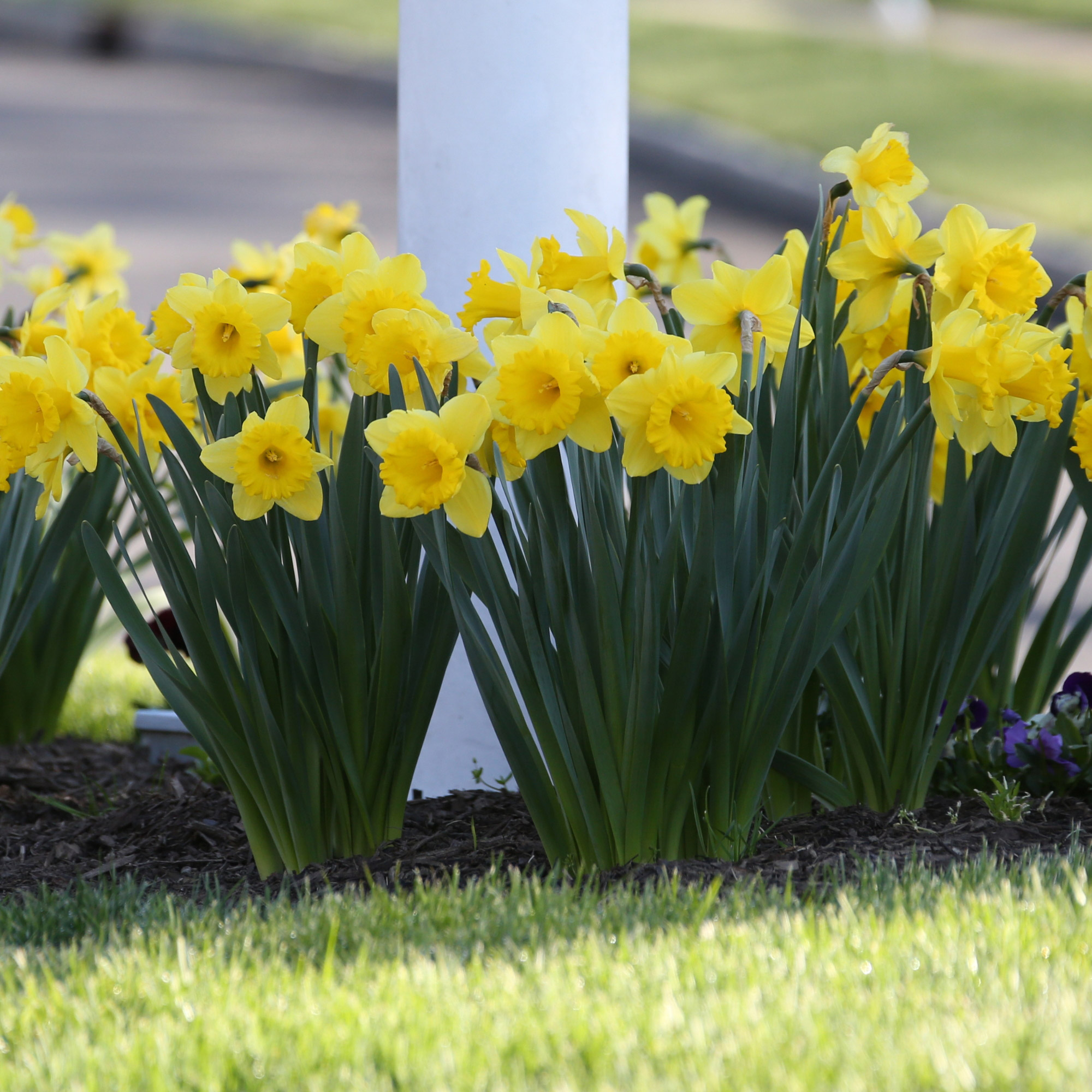 Enlarge Product Preview 3