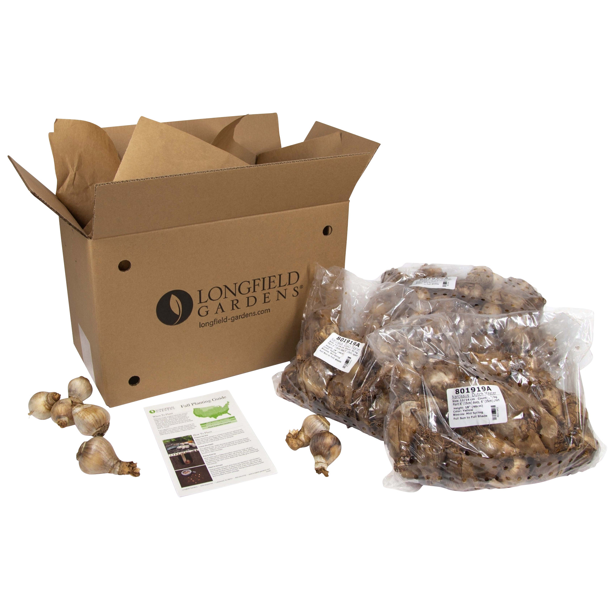 Enlarge Product Preview 7