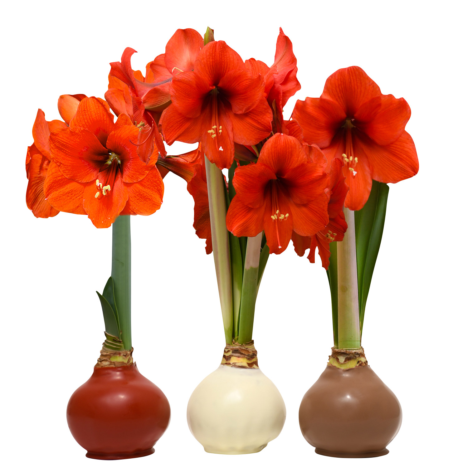 Enlarge Product Preview 3 Successfully Enriched by automation Job.