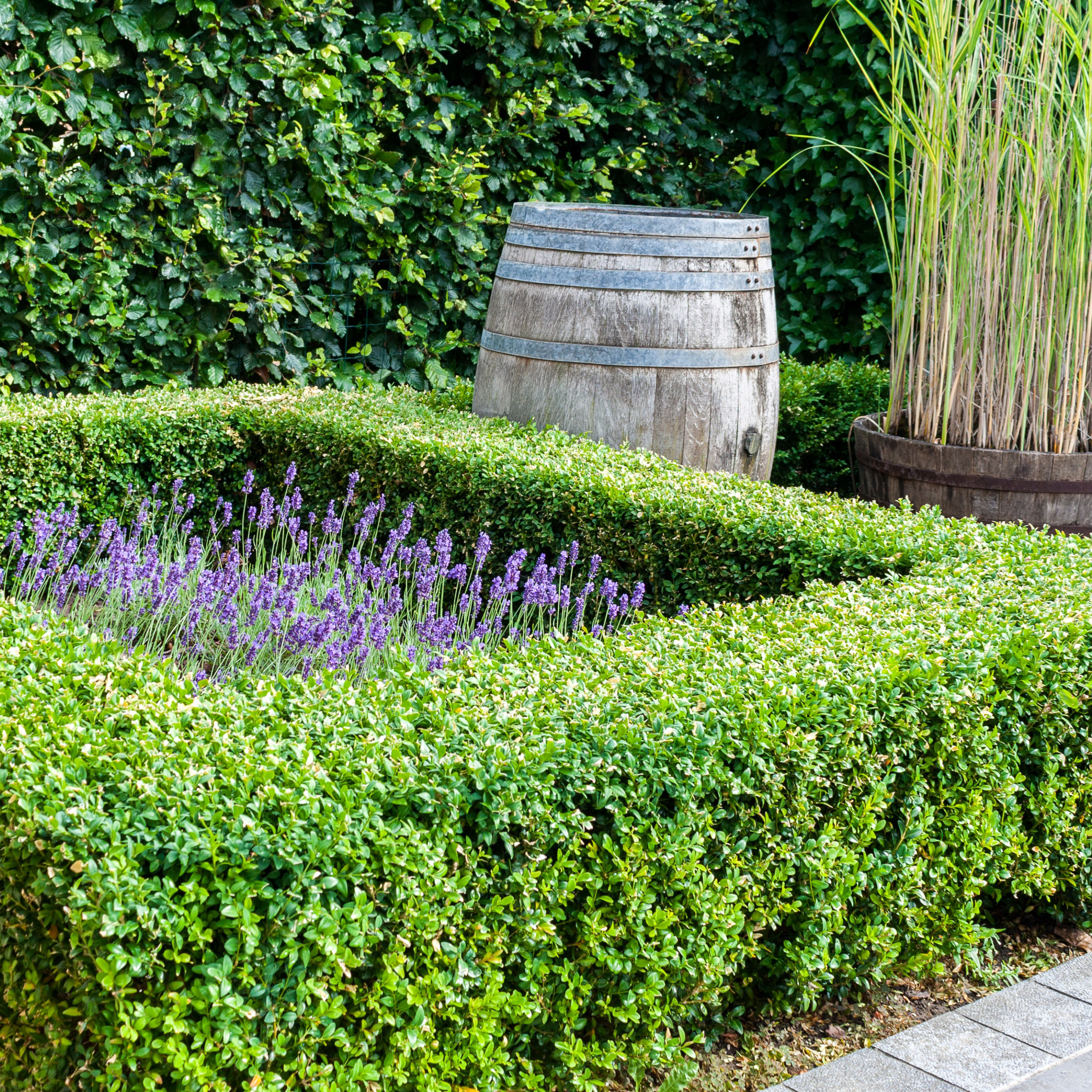 Enlarge Product Preview 8