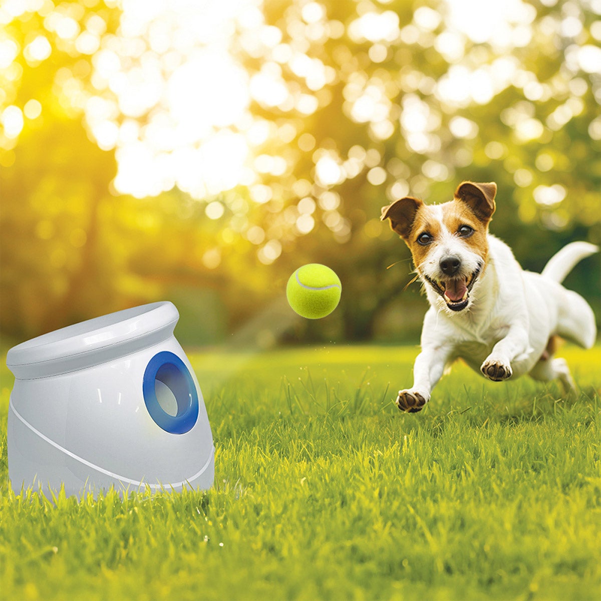Spunky Pup Automatic Tennis Ball Launcher | Costco Spunky Pup Automatic Tennis Ball Launcher | Costco