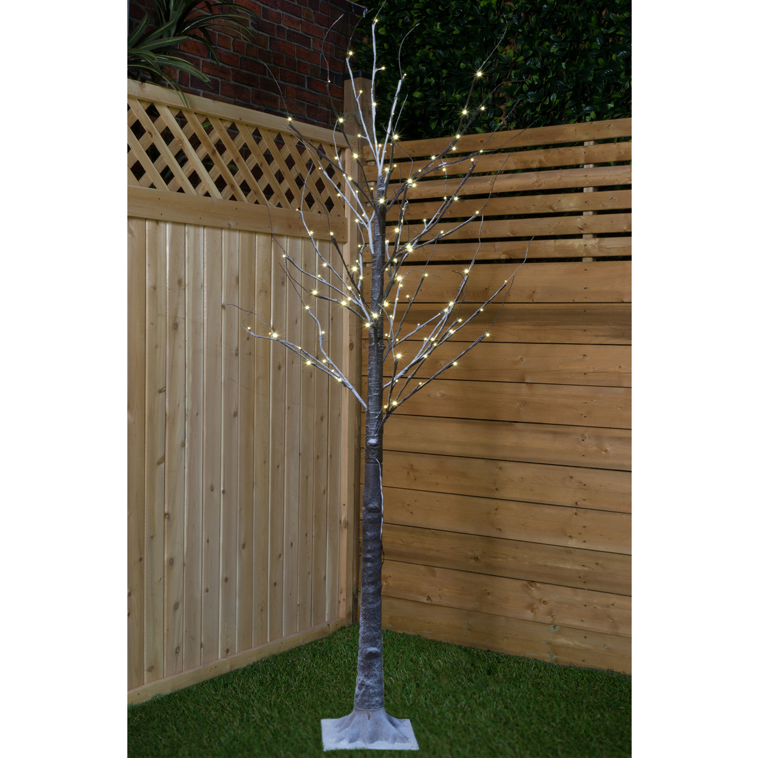 Large Snow Birch Tree