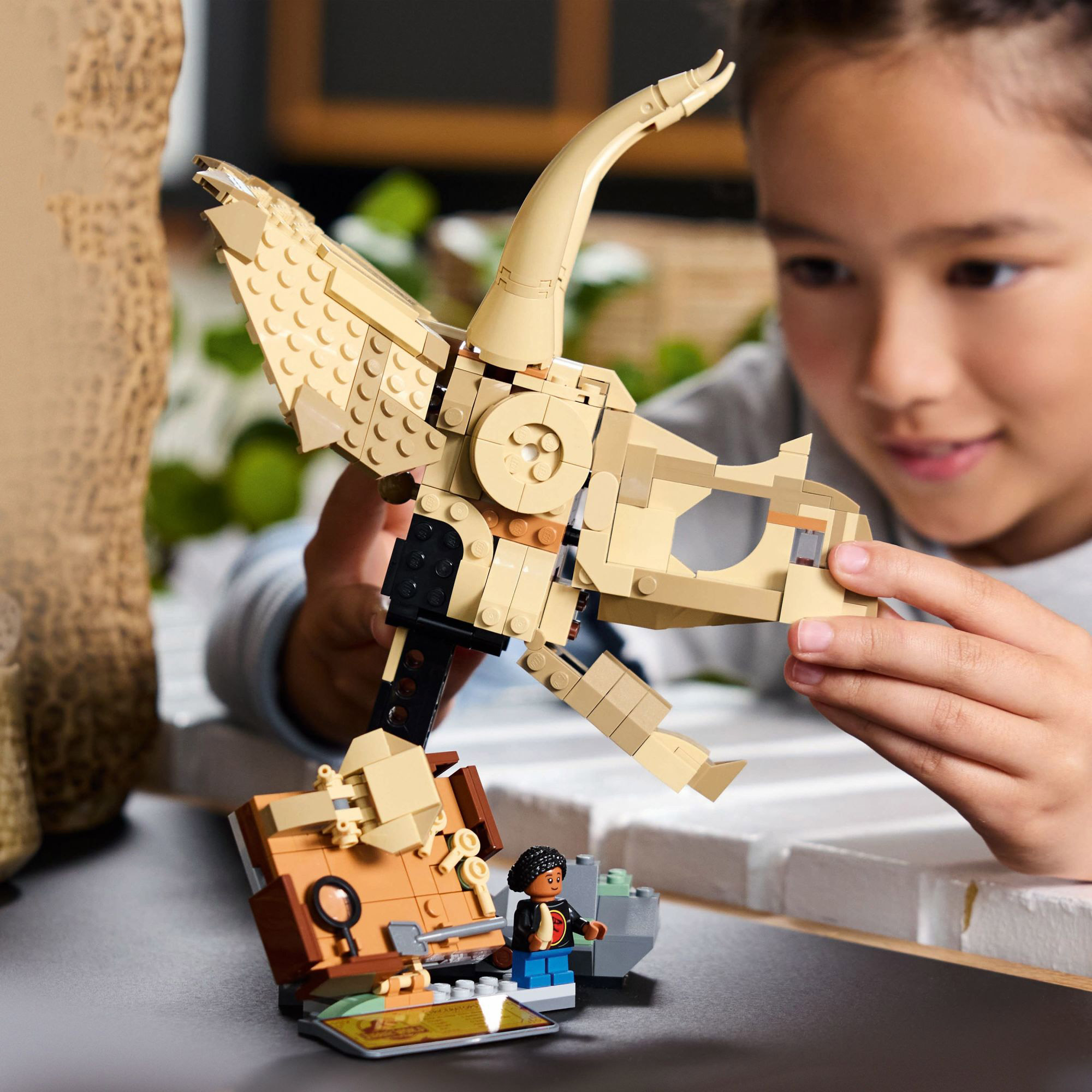 Enlarge Product Preview 6 Successfully Enriched by automation Job.