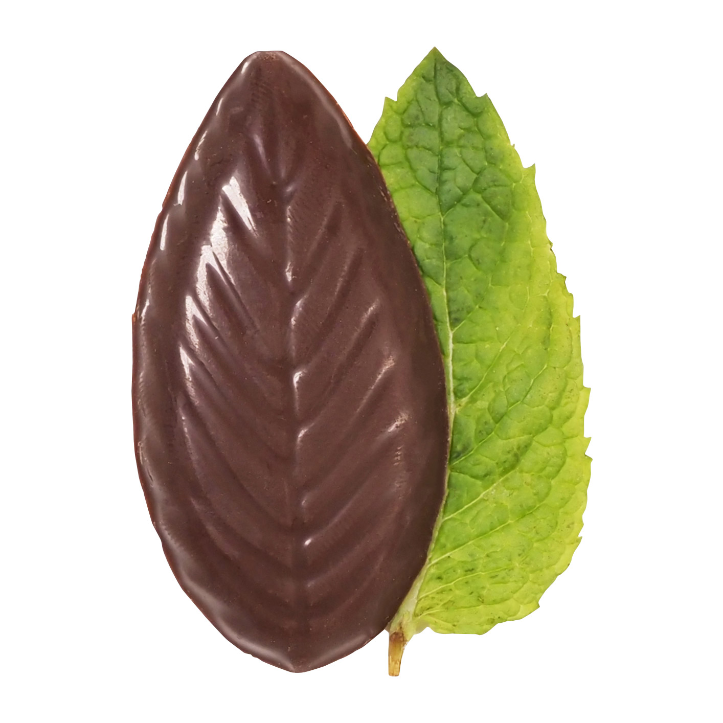 Enlarge Product Preview 7 Successfully Enriched by automation Job.