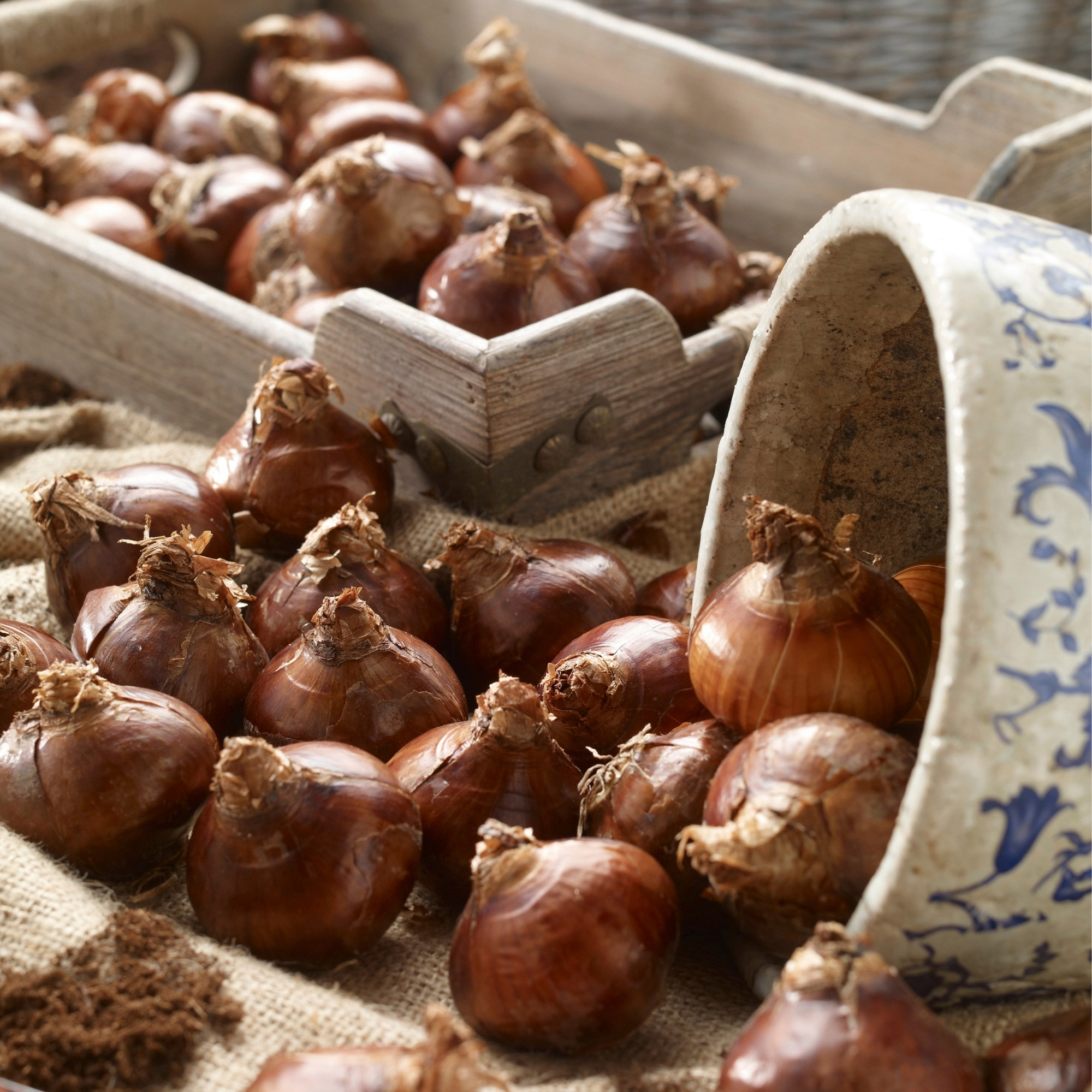 Enlarge Product Preview 4