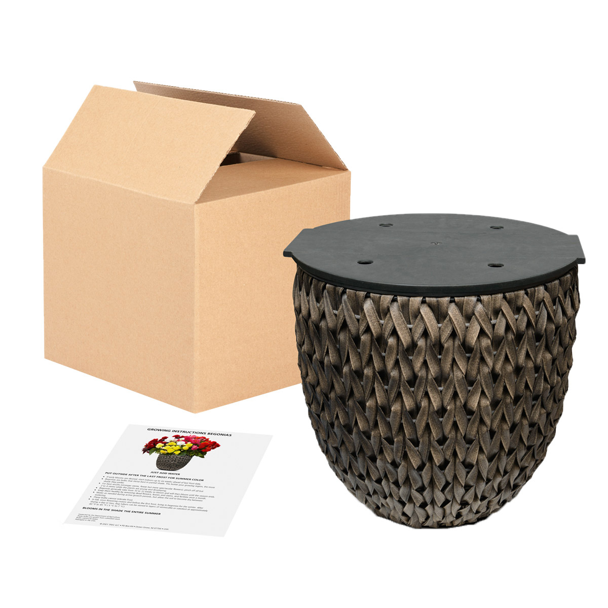 Pre-Planted Begonias (Assorted Double, Includes 5 Bulbs) | Costco