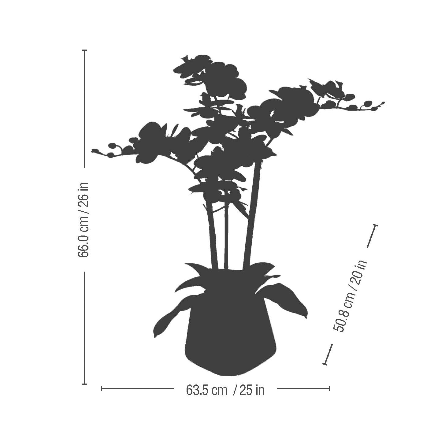 Enlarge Product Preview 6