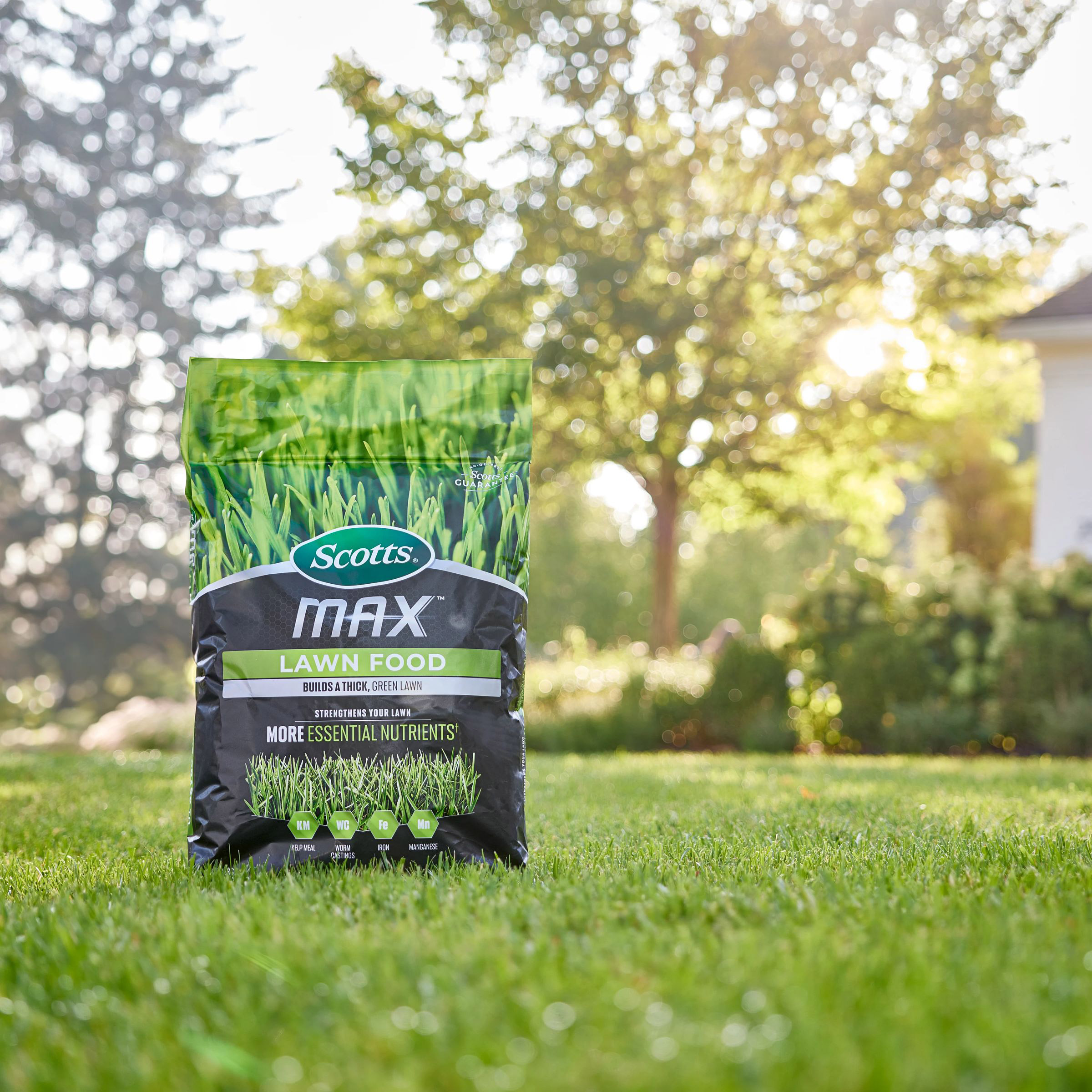 Enlarge Product Preview 8 Successfully Enriched by automation Job.