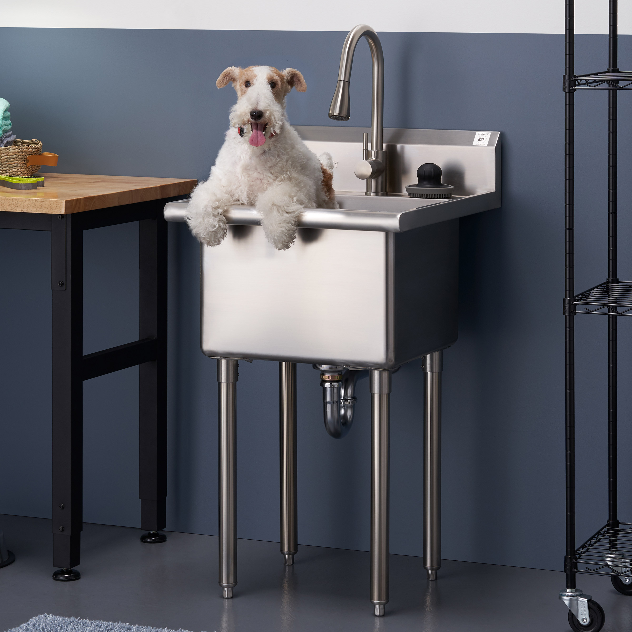 TRINITY Stainless Steel Utility Sink with Pull-out Faucet