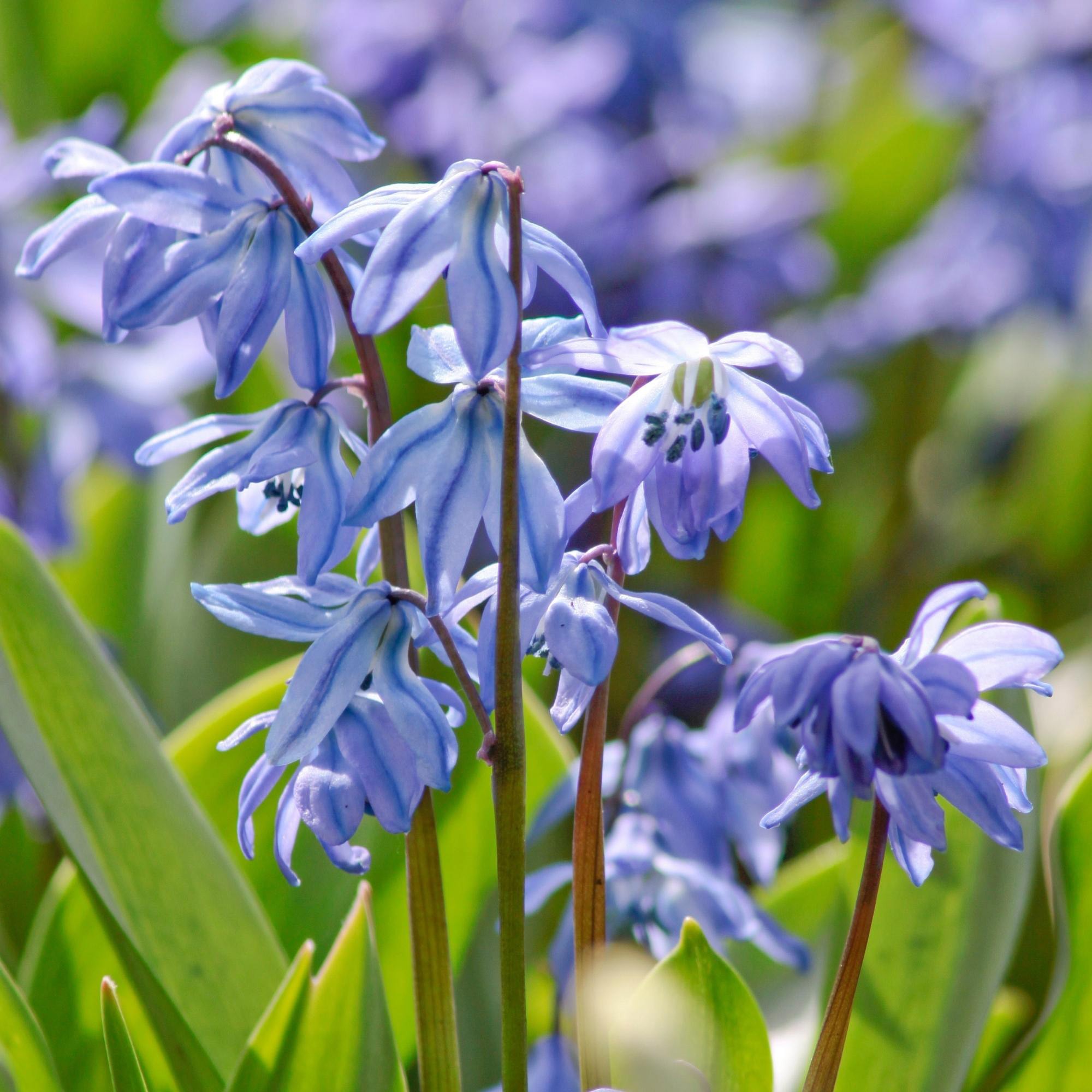 Enlarge Product Preview 4