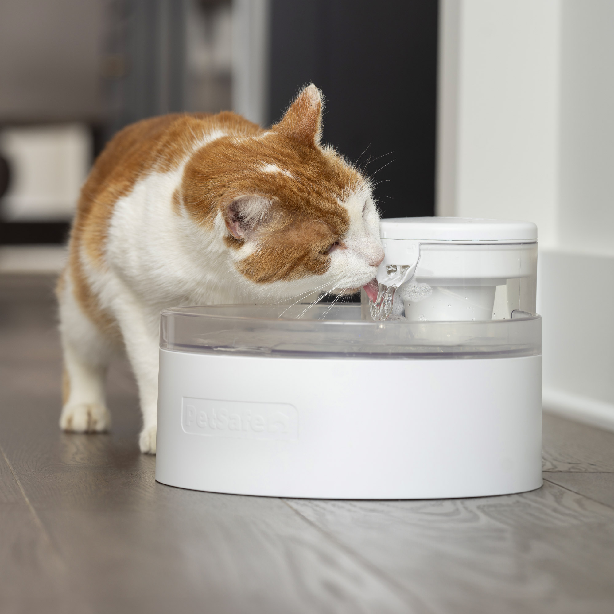 Enlarge Product Preview 8 Successfully Enriched by automation Job.