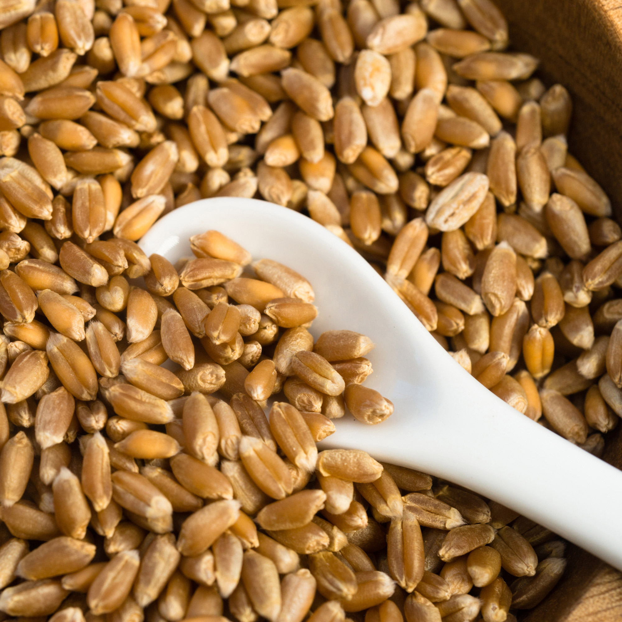 Enlarge Product Preview 8