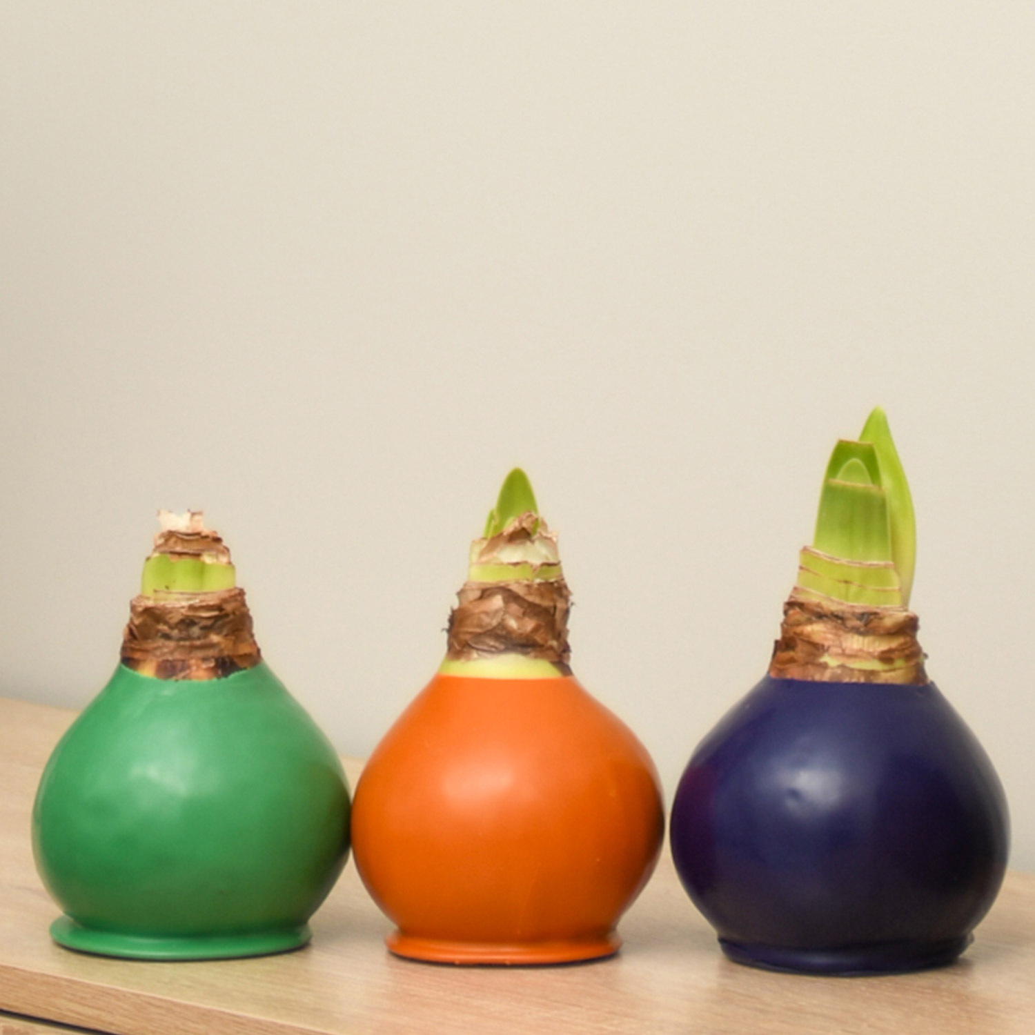 Enlarge Product Preview 3