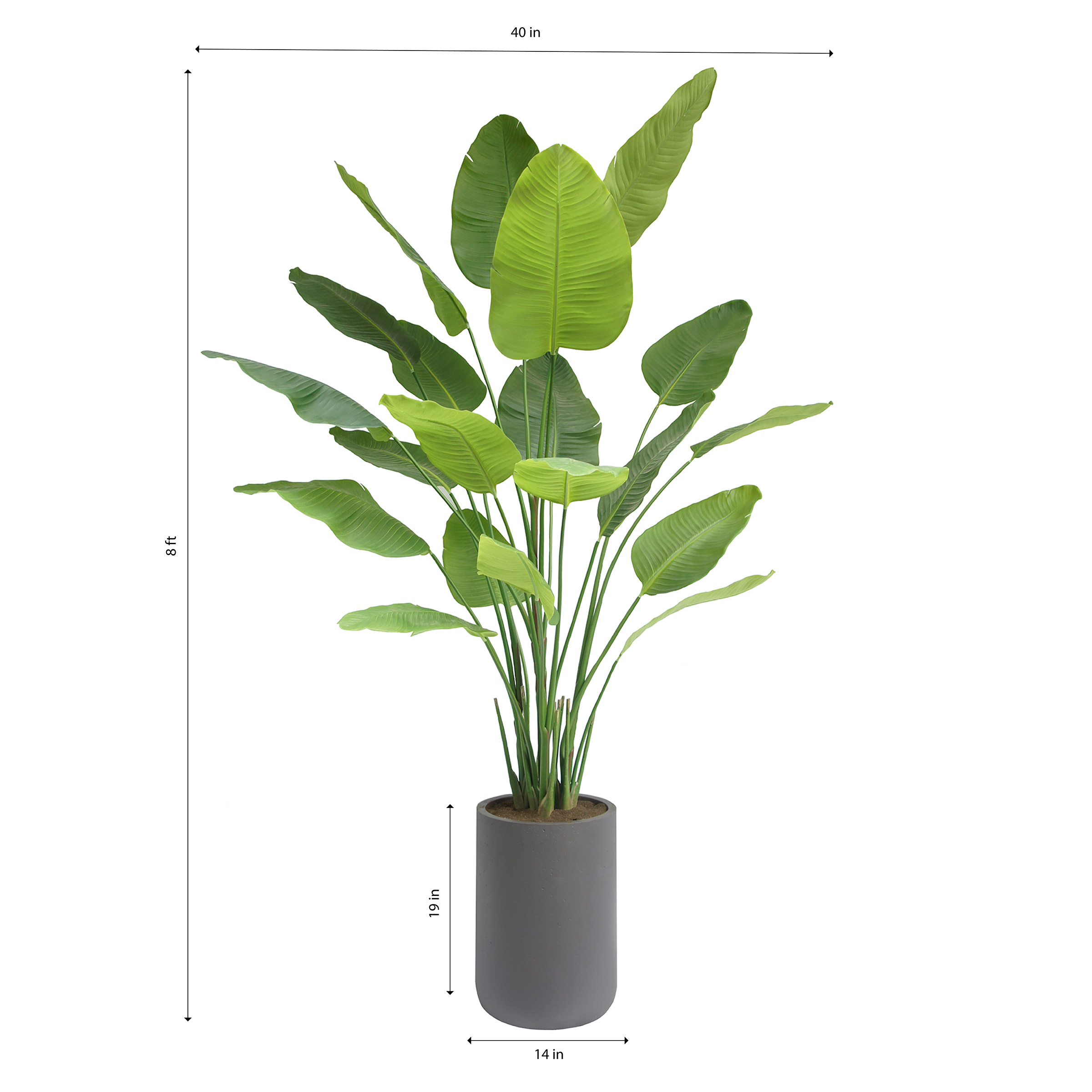 Enlarge Product Preview 2 Successfully Enriched by automation Job.