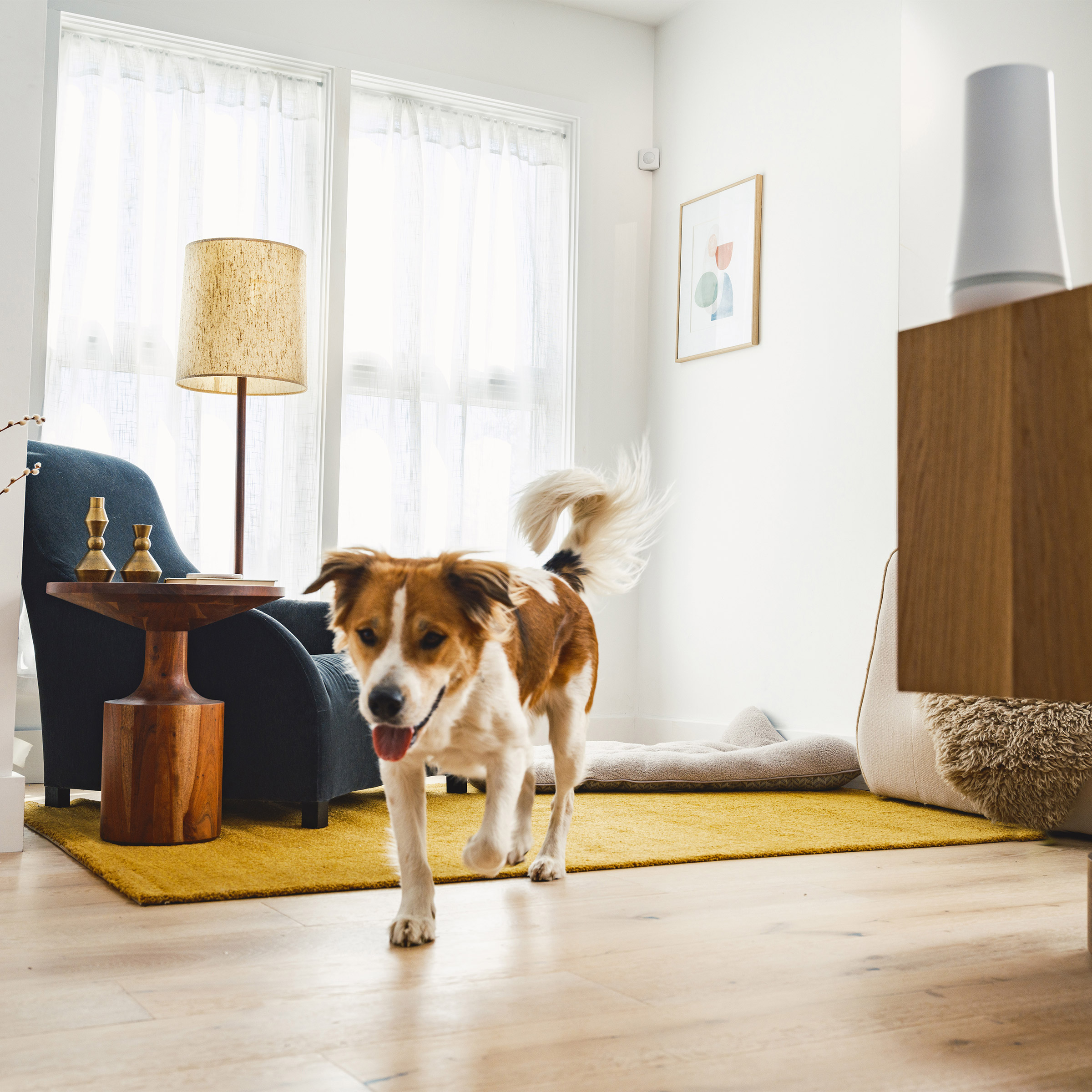 Enlarge Product Preview 10 Successfully Enriched by automation Job.