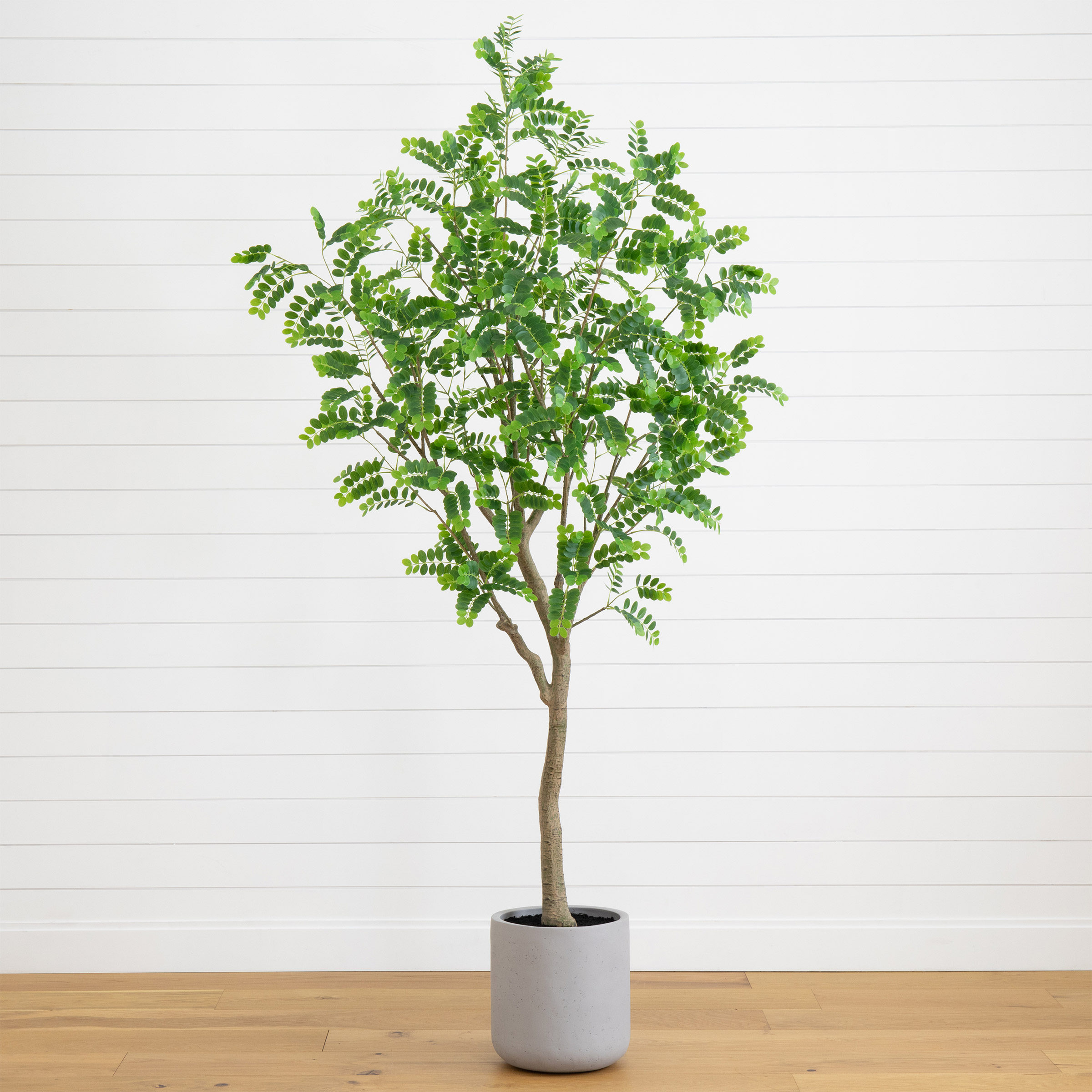 Faux 7.5' Citrus Tree