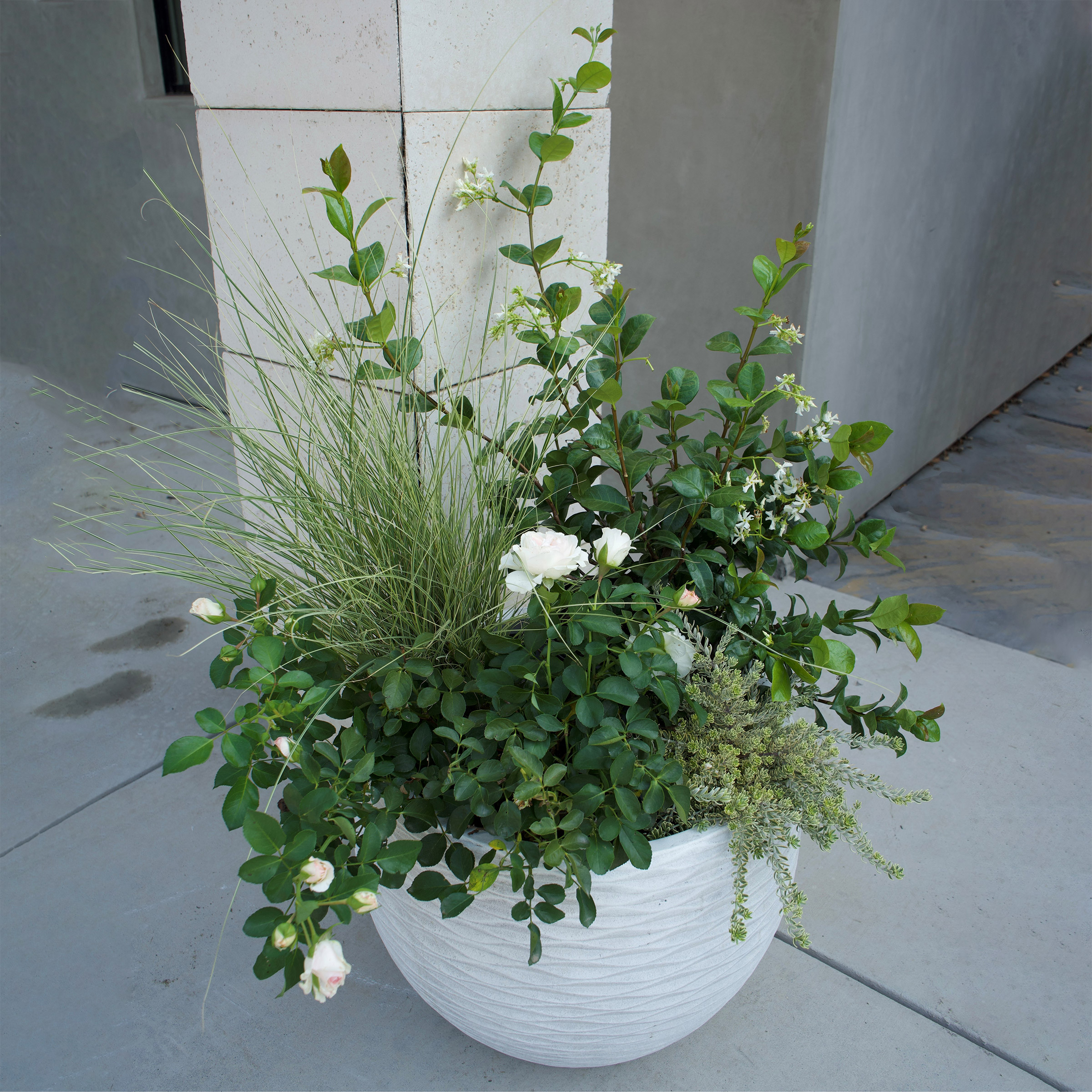 Enlarge Product Preview 2