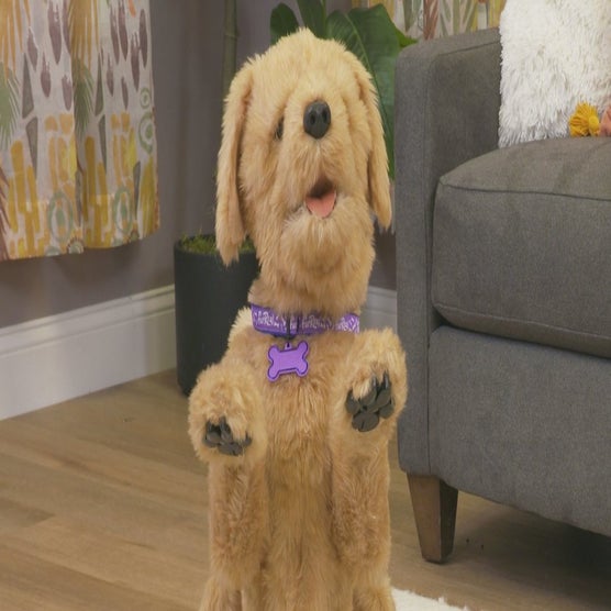 Play Product Video 1