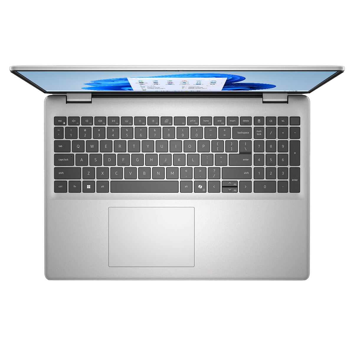 Enlarge Product Preview 3 Successfully Enriched by automation Job.