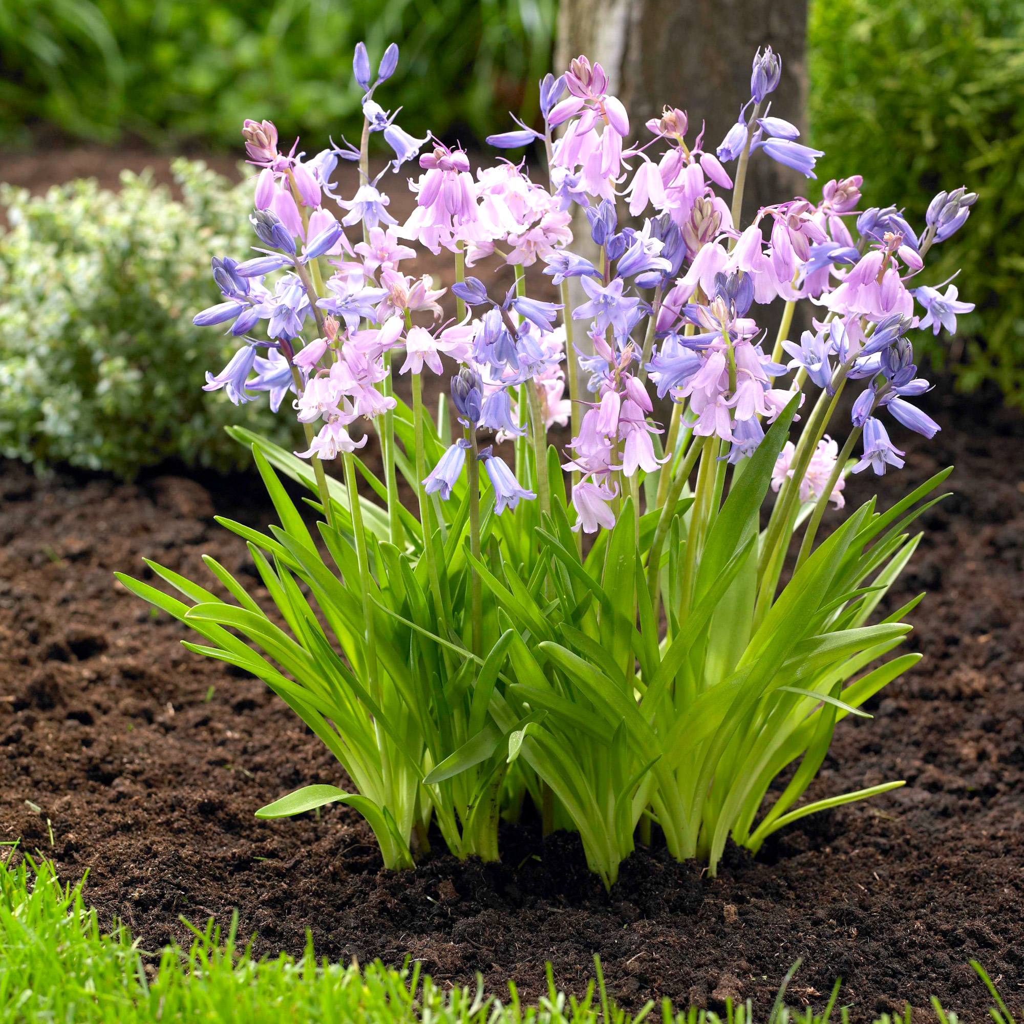 Enlarge Product Preview 3 Successfully Enriched by automation Job.