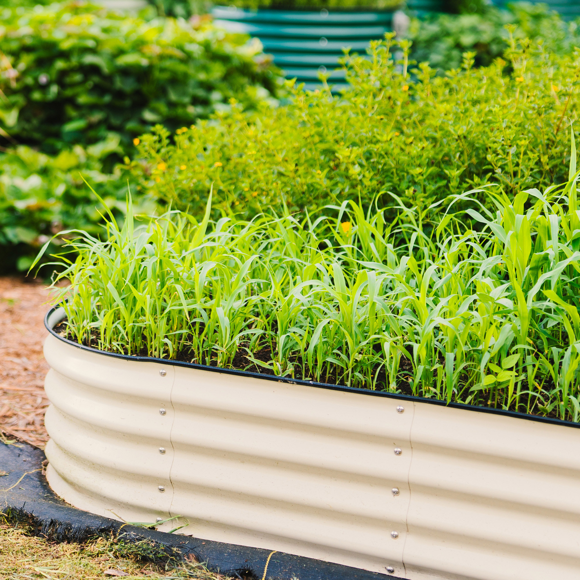 Enlarge Product Preview 5 Successfully Enriched by automation Job.