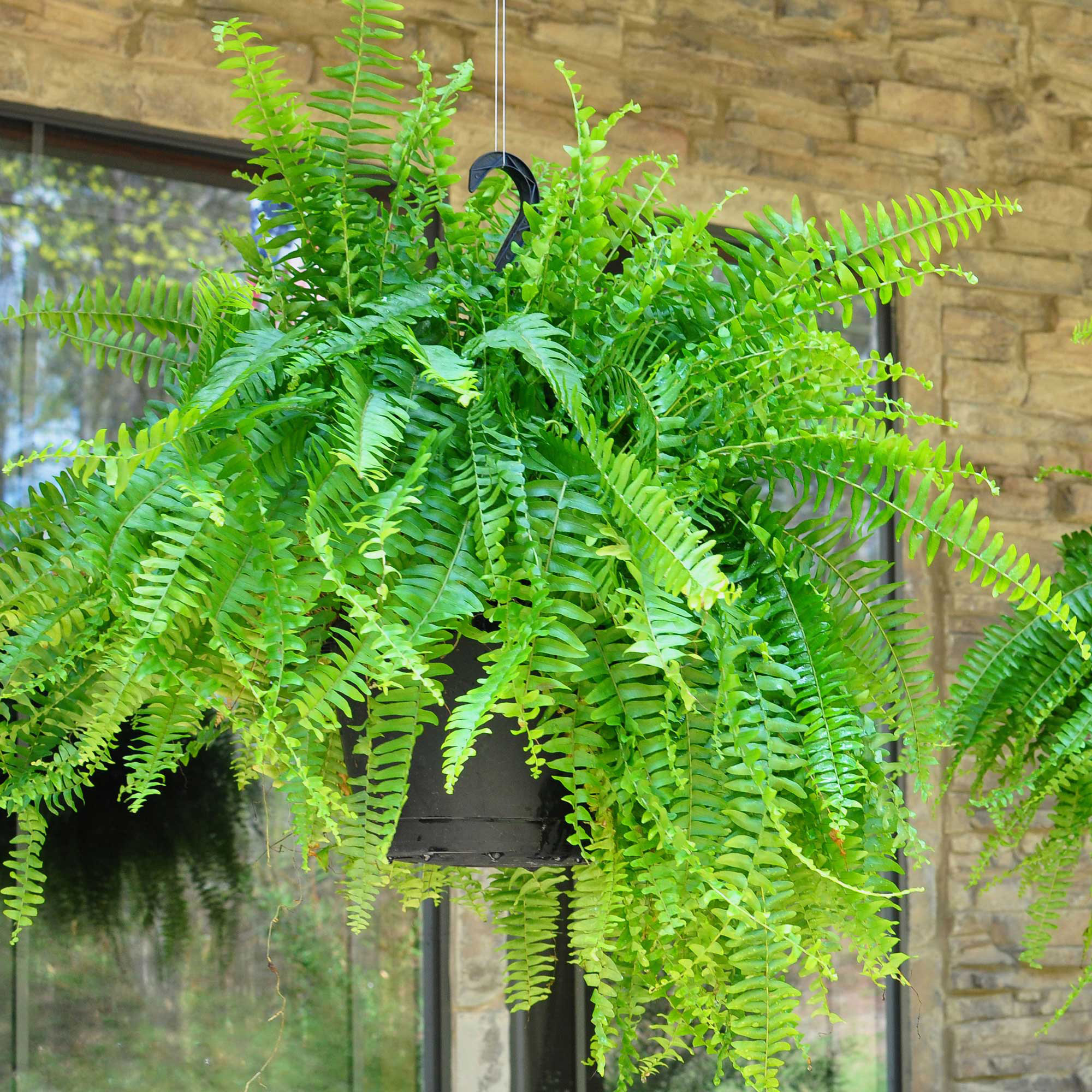 Enlarge Product Preview 4 Successfully Enriched by automation Job.