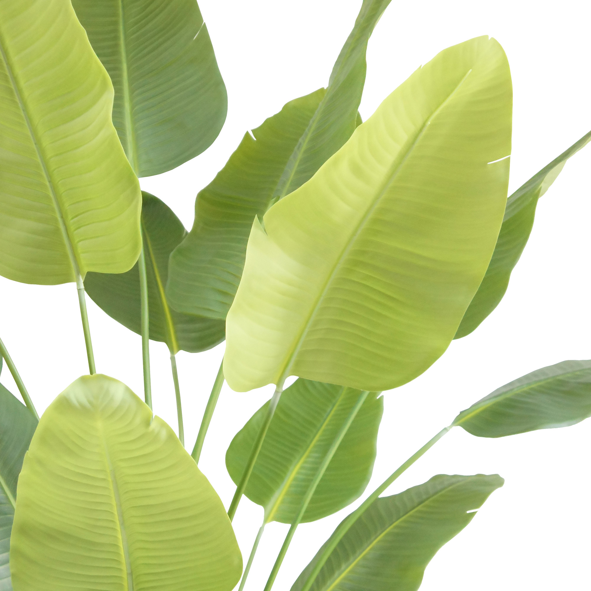 Enlarge Product Preview 4 Successfully Enriched by automation Job.